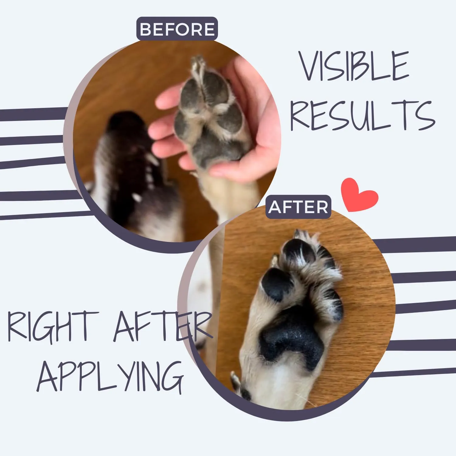 Noseprint Balsamo per Zampa e Naso per Cane, 30 ml - immagine 4