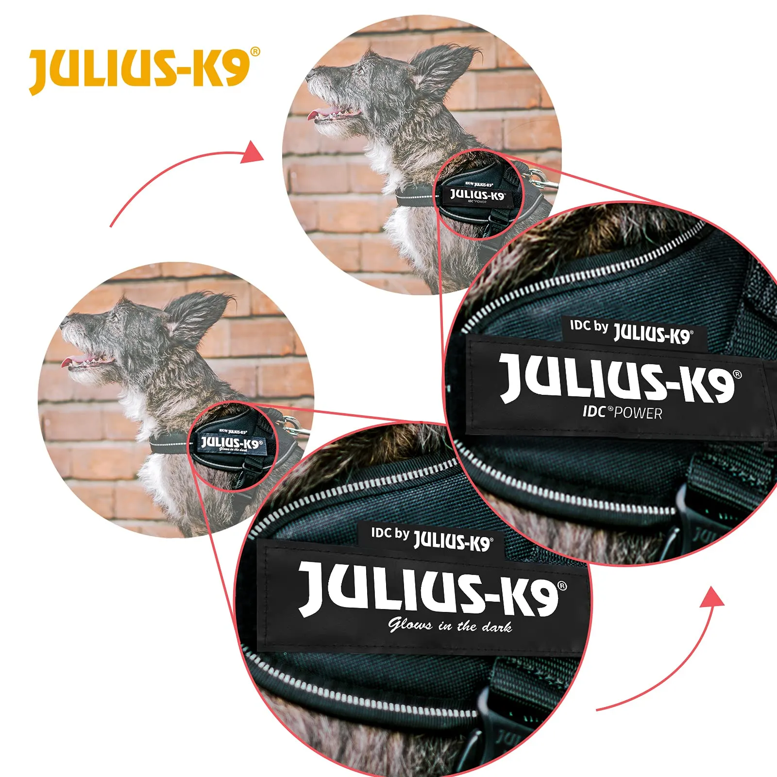 Julius-K9 IDC Power Harness, XS/Mini-Mini, Crazy - immagine 7