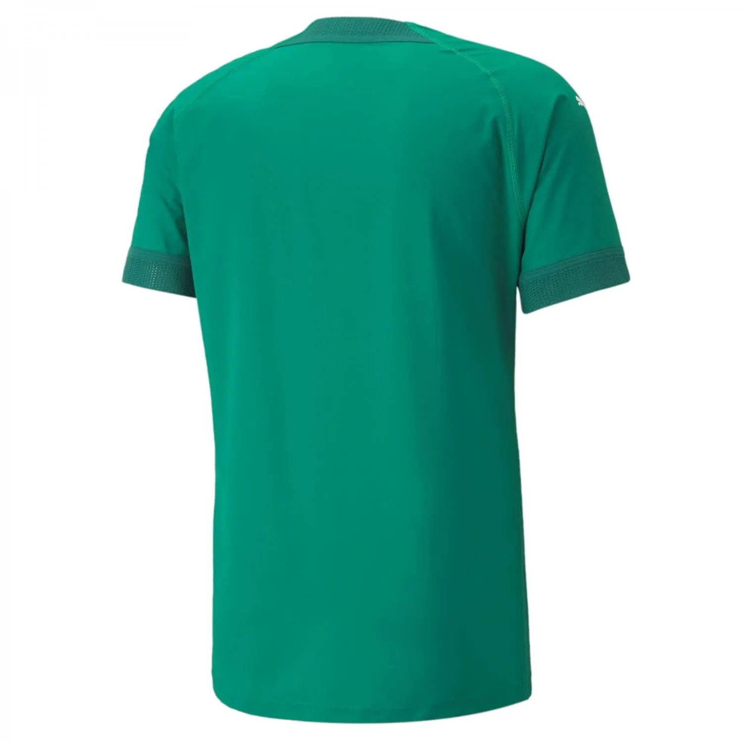 PUMA teamFINAL Jersey, Pepper Green-Alpine Green, XL - immagine 2