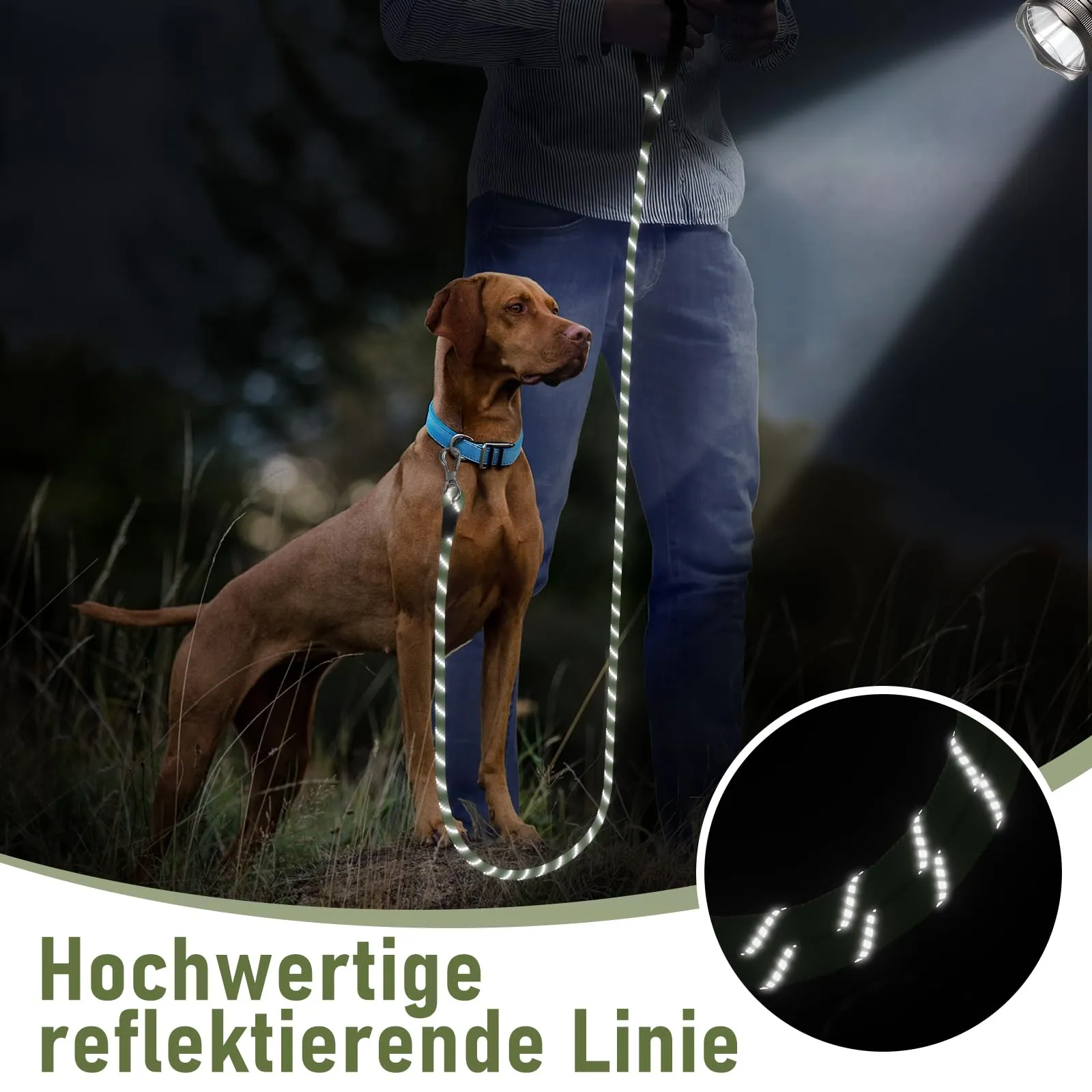 X XBEN Guinzaglio Addestramento per Cani, 10M x 8mm, Corda di Nylon con Gancio di Sicurezza e Maniglia Imbottita - immagine 6