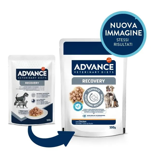 Affinity Advance Veterinary Diets Recovery Cibo Umido per Cani e Gatti, 11 bustine da 100g - immagine 6