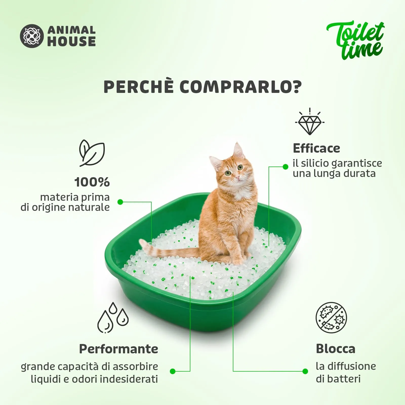 Animal House Toilet Time Lettiera in Cristalli di Silicio per Gatti Aloe, 5L - immagine 2