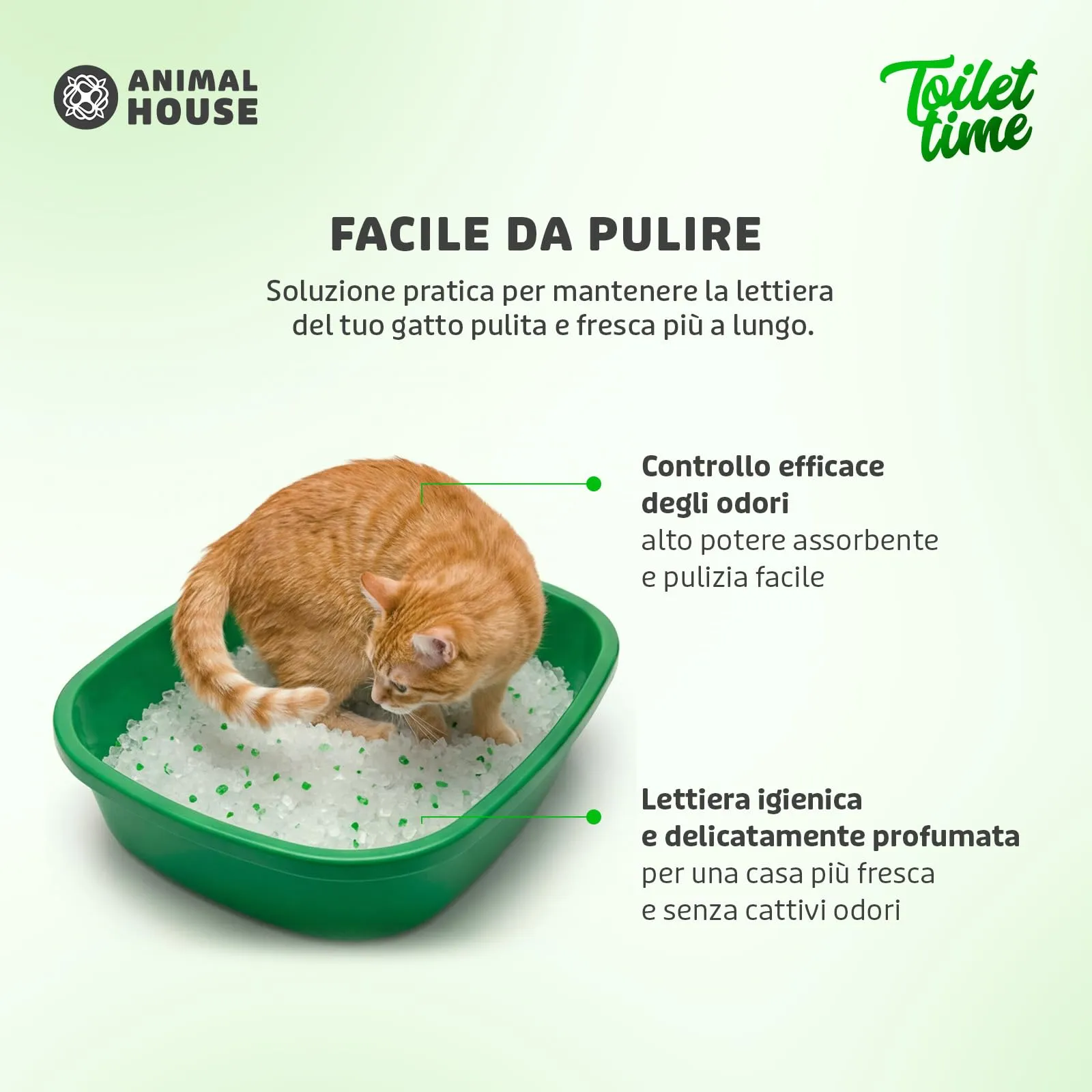 Animal House Toilet Time Lettiera in Cristalli di Silicio per Gatti Aloe, 5L - immagine 5