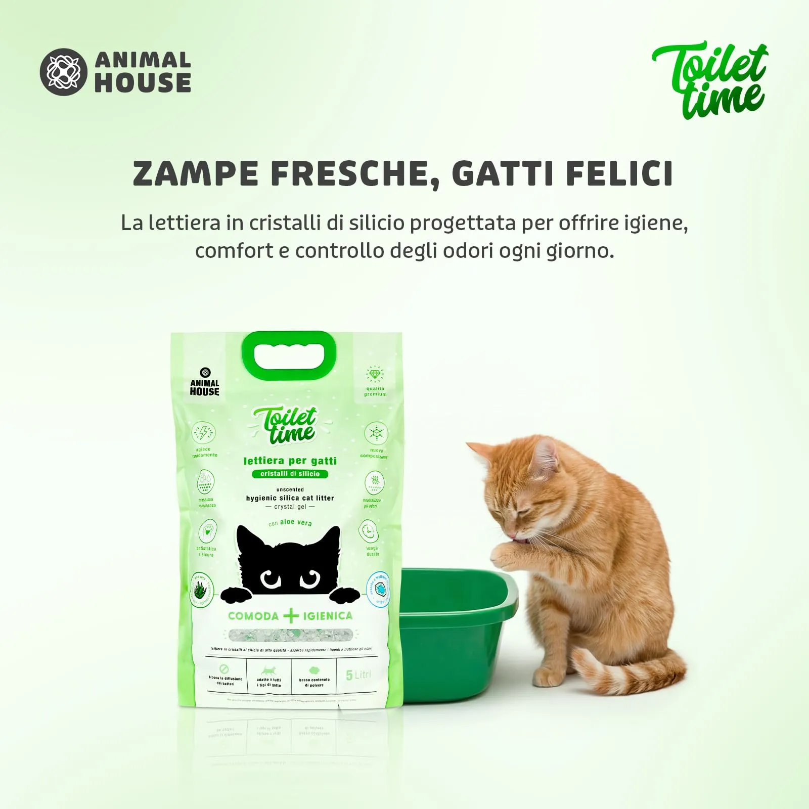Animal House Toilet Time Lettiera in Cristalli di Silicio per Gatti Aloe, 5L - immagine 7