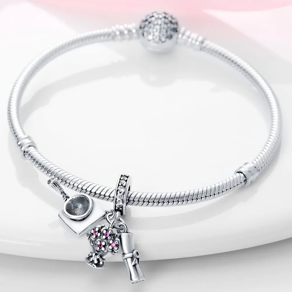 Pandach Bead Charm Ciondolo Argento Sterling 925 con Cubic Zirconia per Braccialetti e Collane Europee - immagine 5