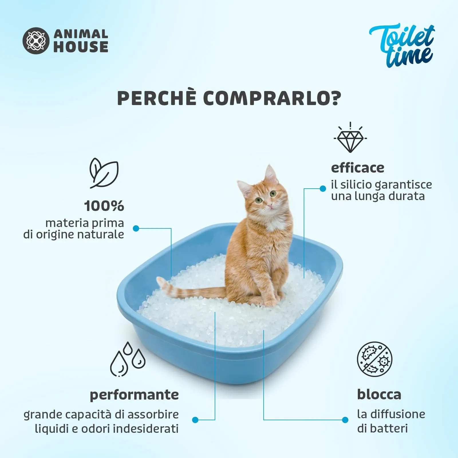 Animal House Toilet Time Lettiera in Cristalli di Silicio per Gatti, 5L - immagine 2