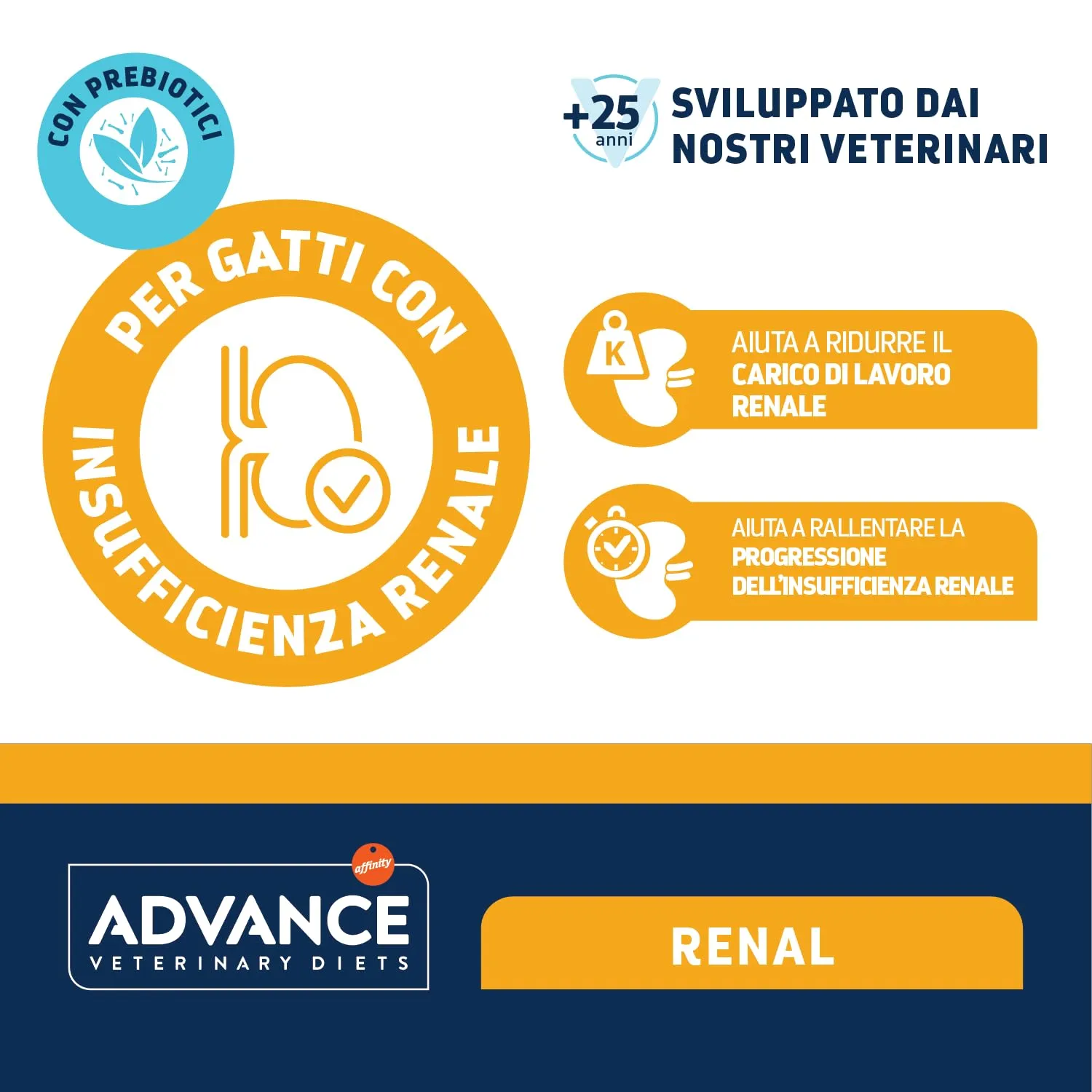 Affinity Advance Veterinary Diets Renal Cibo Umido per Gatti, Multipack 12 bustine da 85g - immagine 4