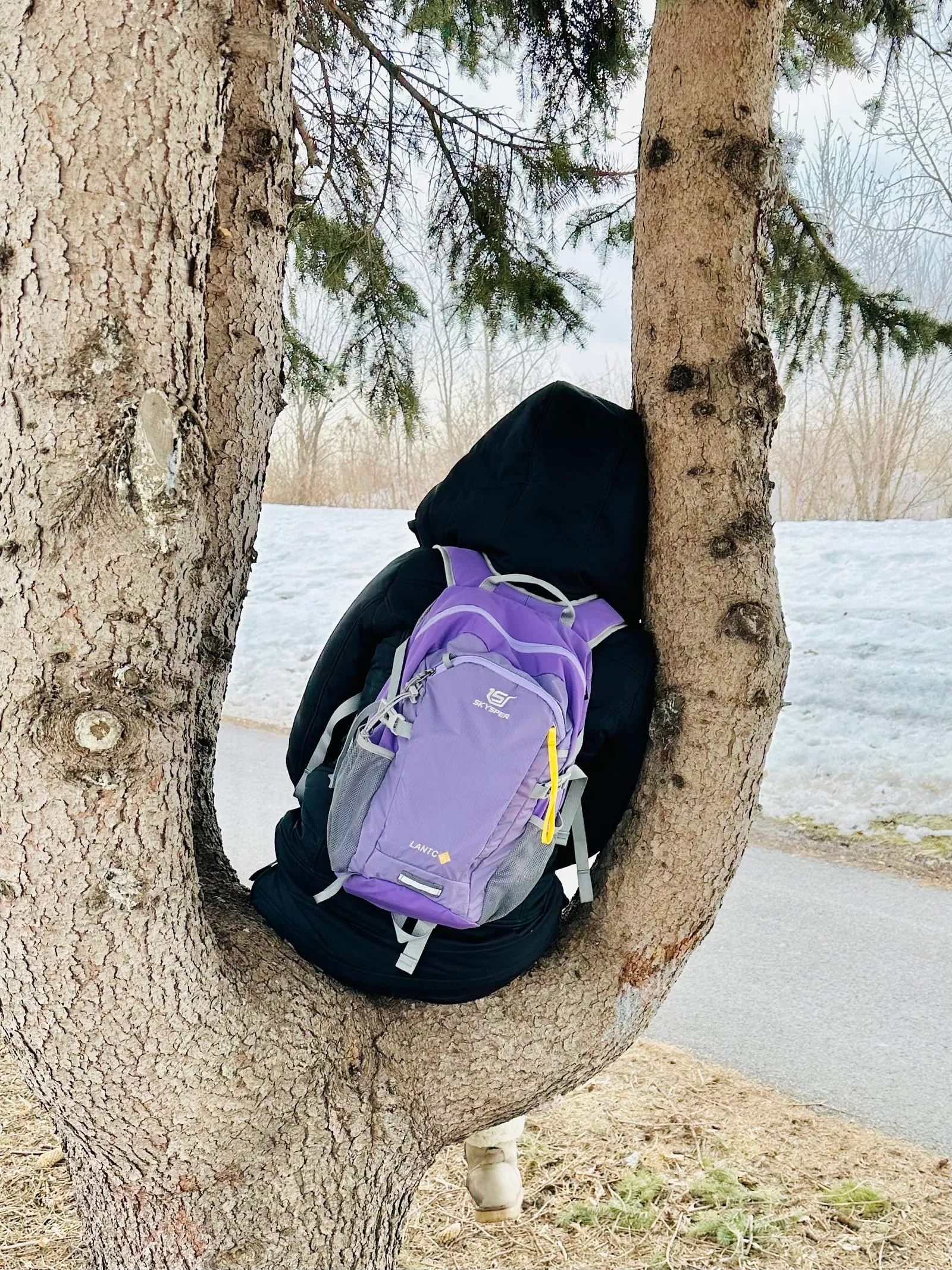 SKYSPER Zaino da Hiking 20L Scozzese Viola - immagine 7
