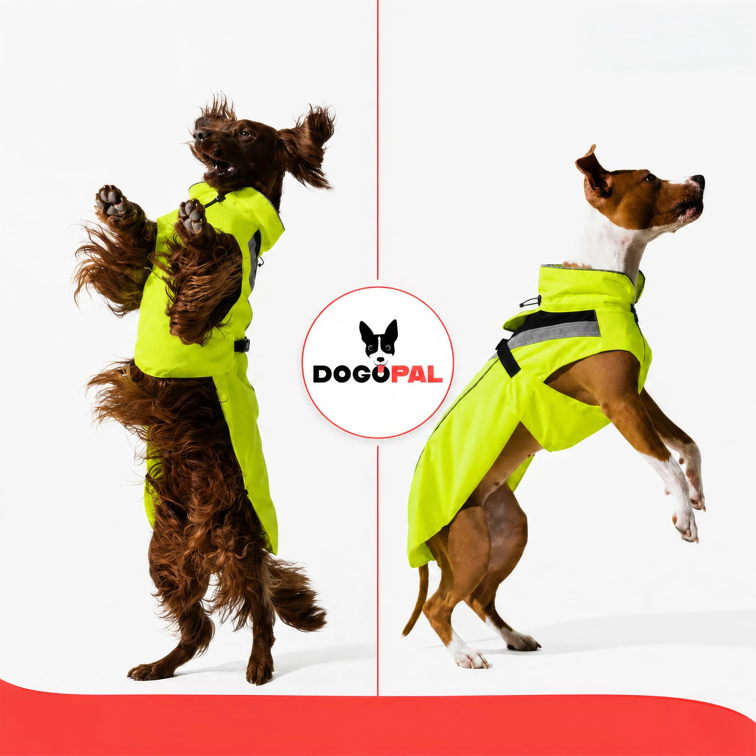 DOGOPAL Impermeabile per Cane Catarifrangente con Apertura per Guinzaglio, Giallo, L - immagine 10