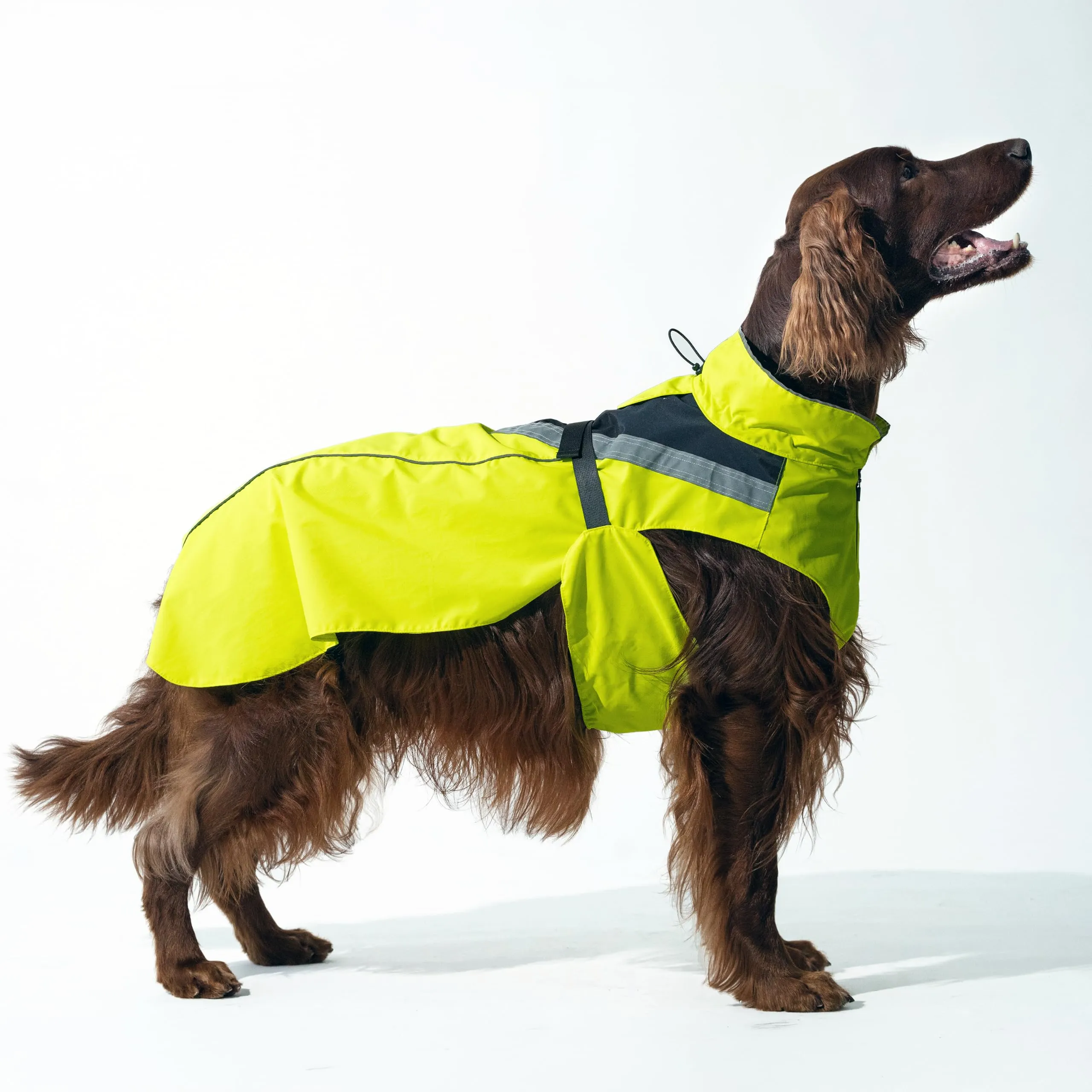 DOGOPAL Impermeabile per Cane Catarifrangente con Apertura per Guinzaglio, Giallo, M - immagine 12
