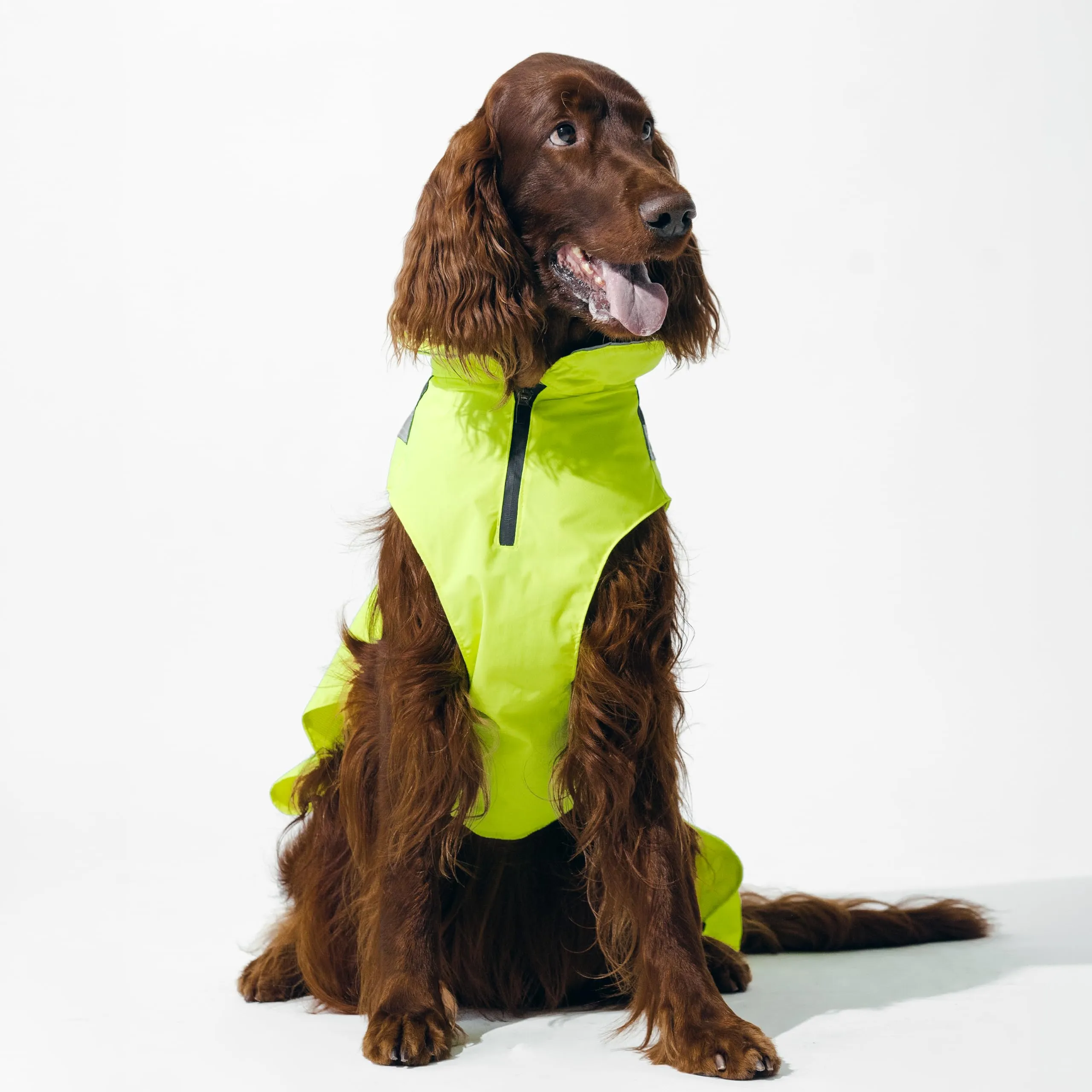 DOGOPAL Impermeabile per Cane Catarifrangente con Apertura per Guinzaglio, Giallo, M - immagine 13
