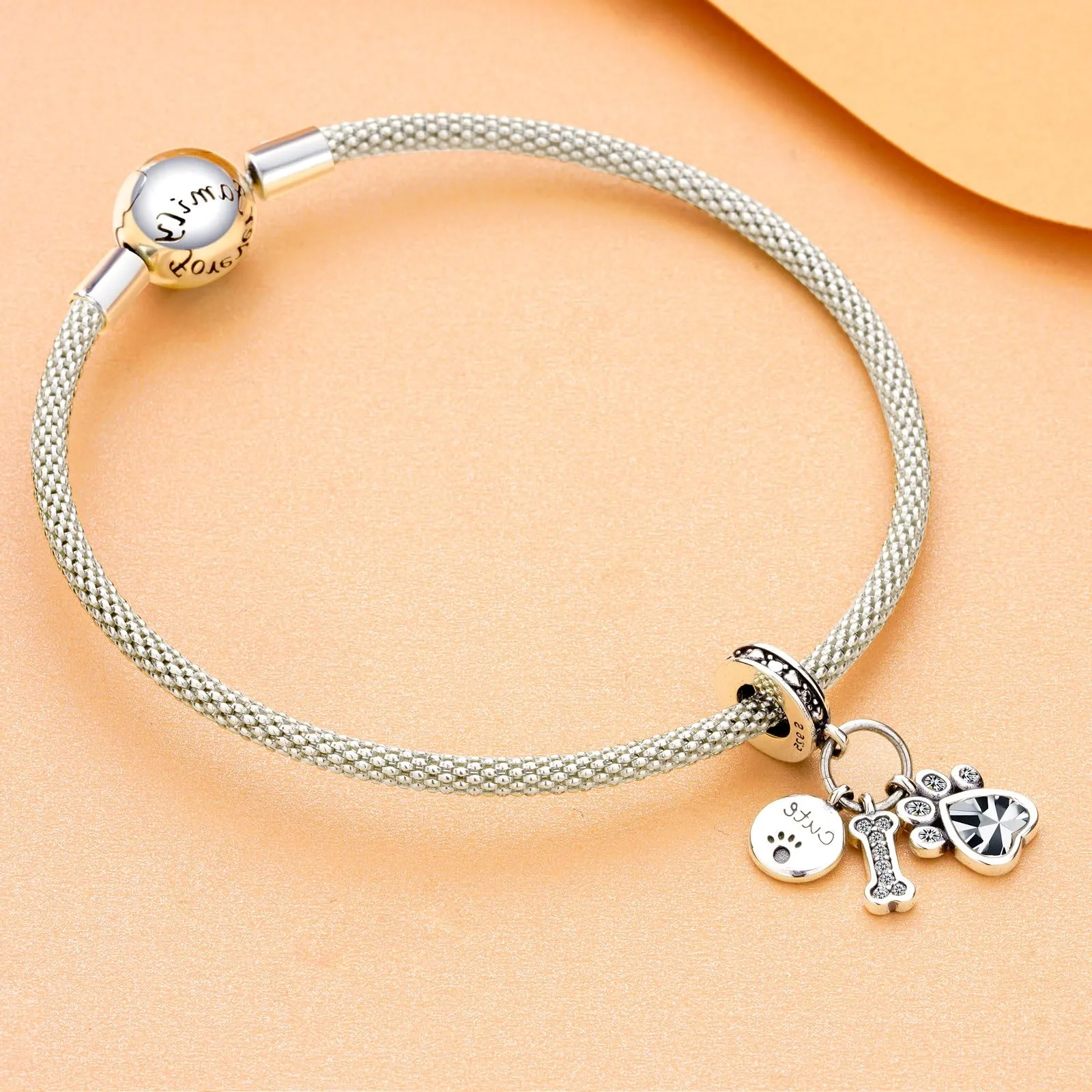 Rimgoris Charm Zampa d'osso in Argento Sterling 925 per Bracciali e Collane - immagine 3
