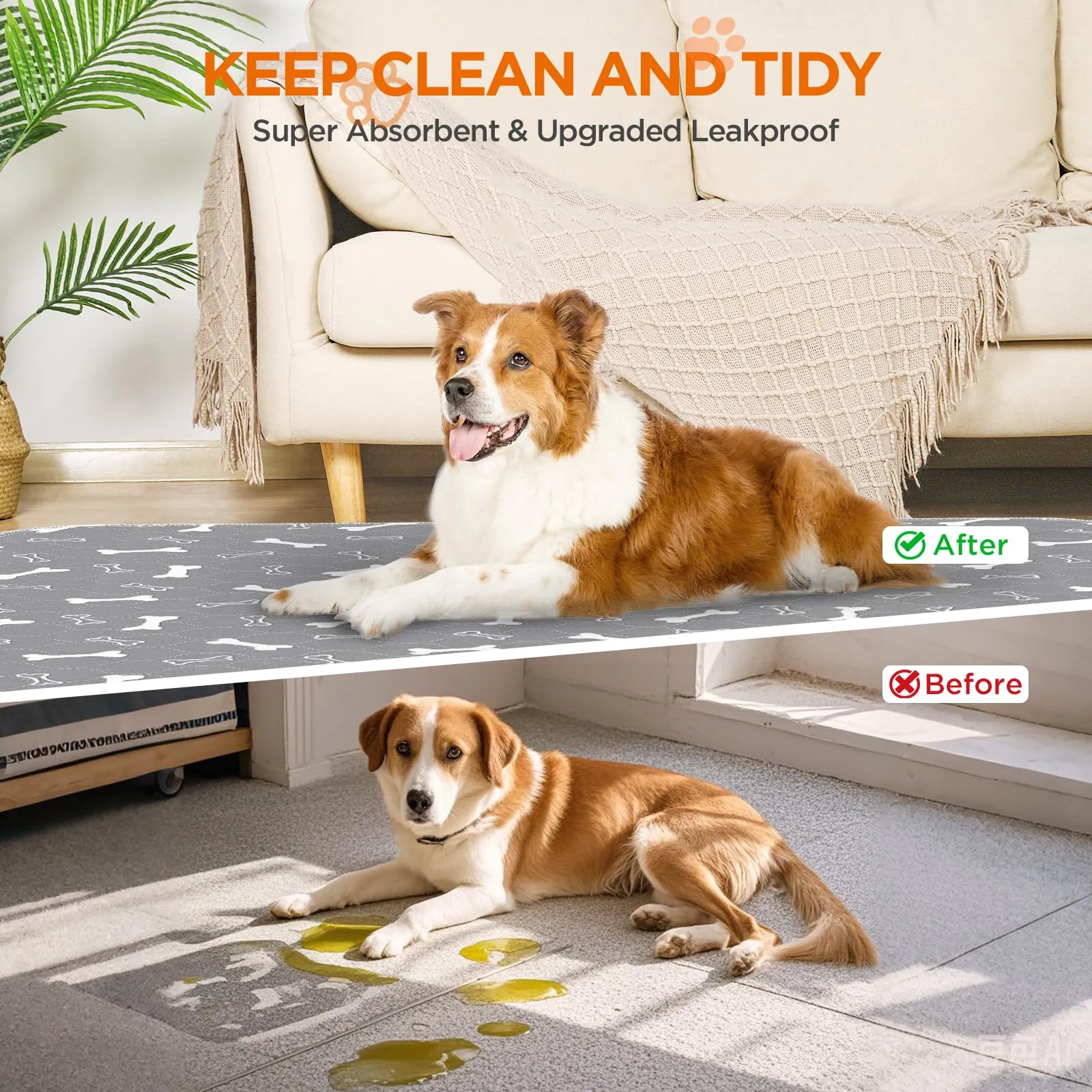 BaoDan Traversine Lavabili per Cani, 45x60cm, 2 Pezzi - immagine 7