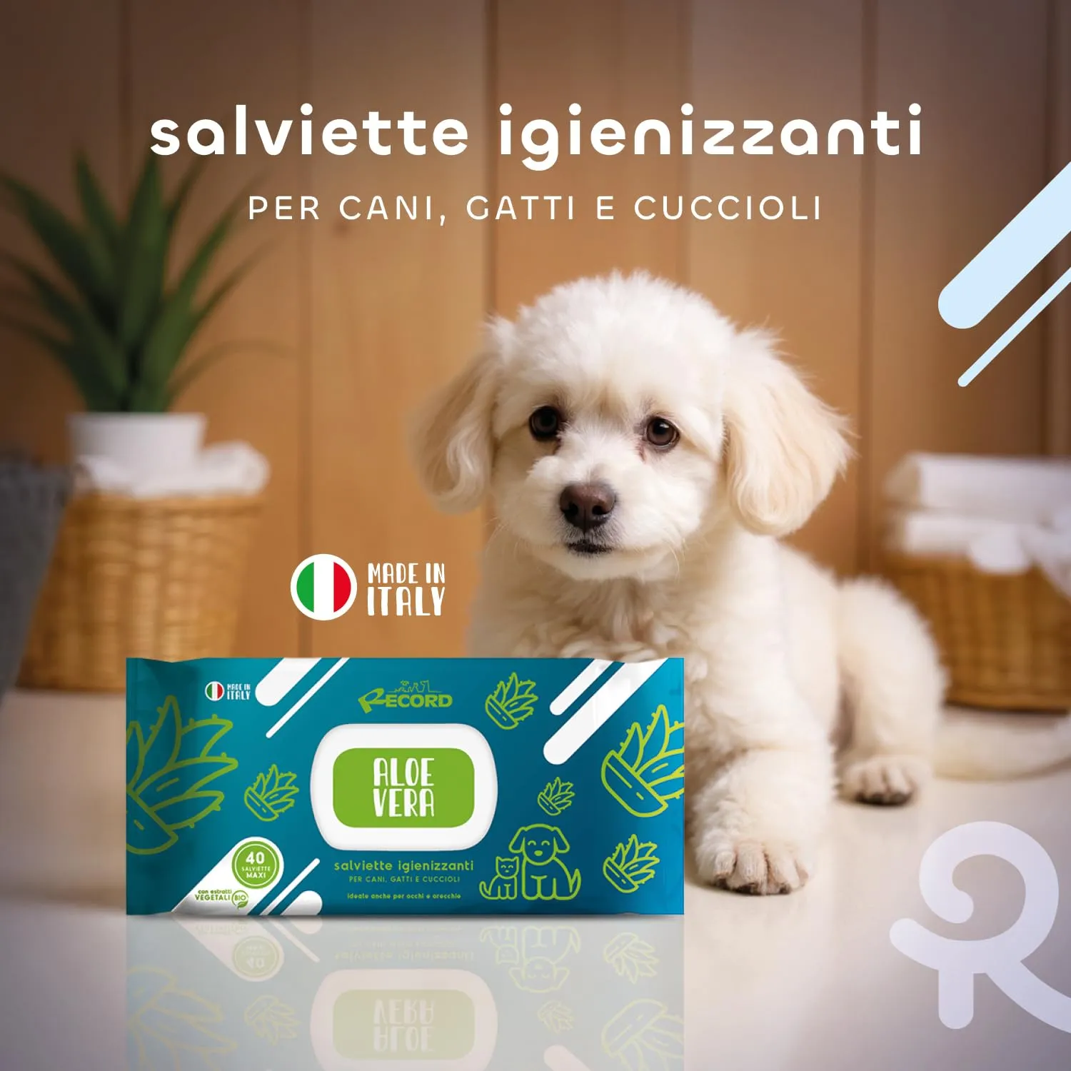 Record Salviette Igienizzanti per Cani e Gatti Aloe Vera, 40 Pezzi - immagine 3