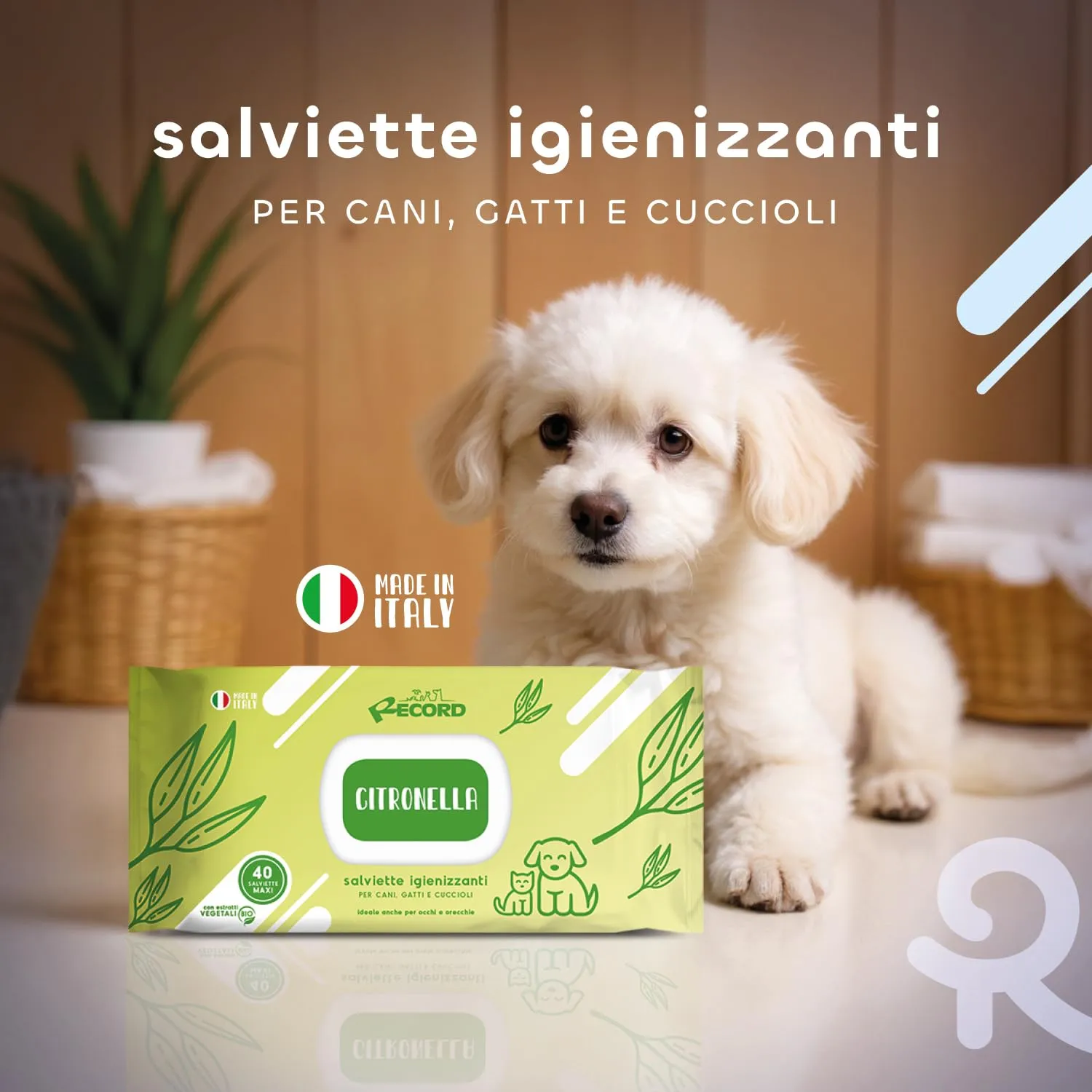 Record Salviette Igienizzanti per Cani e Gatti Aroma Citronella, 40 Pezzi - immagine 3