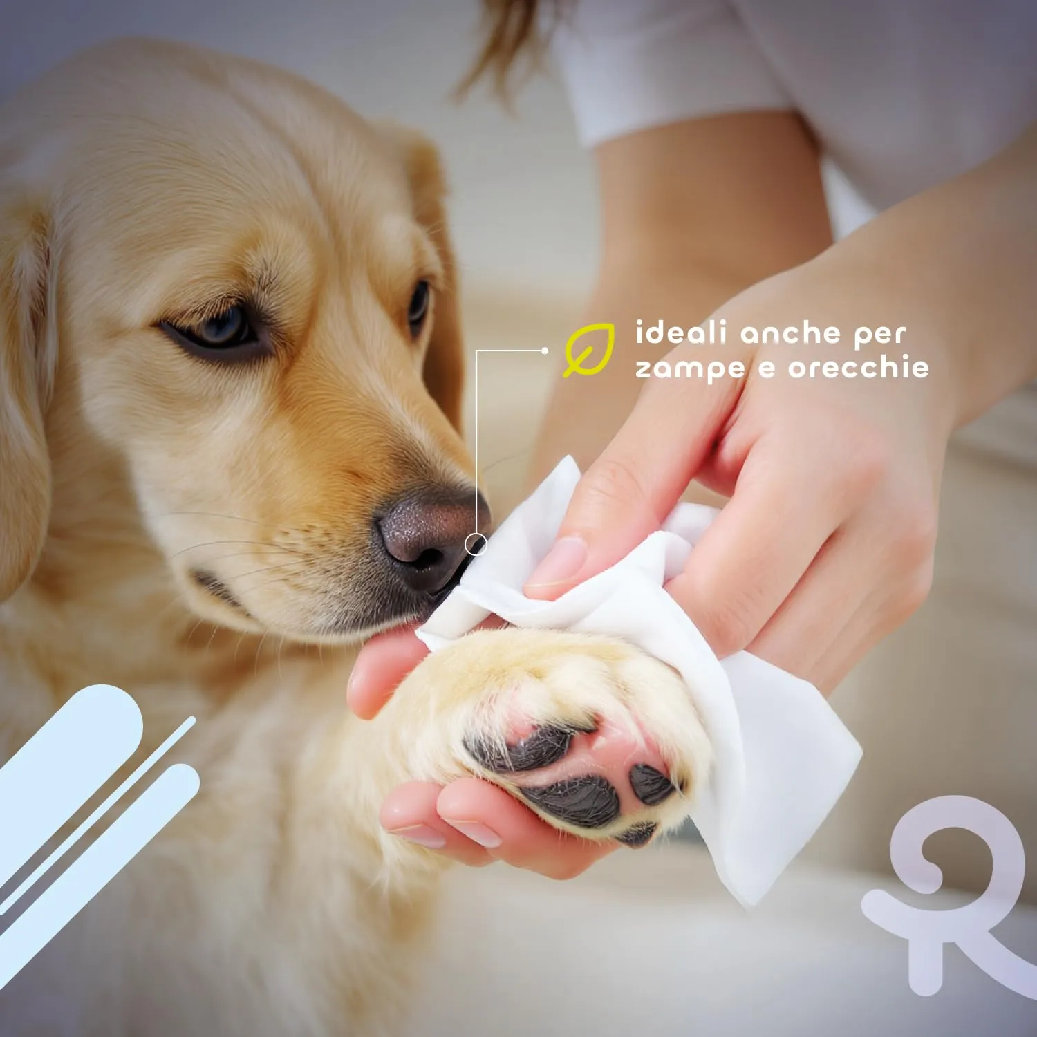 Record Salviette Igienizzanti per Cani e Gatti Aroma Muschio, 40 pz - immagine 5