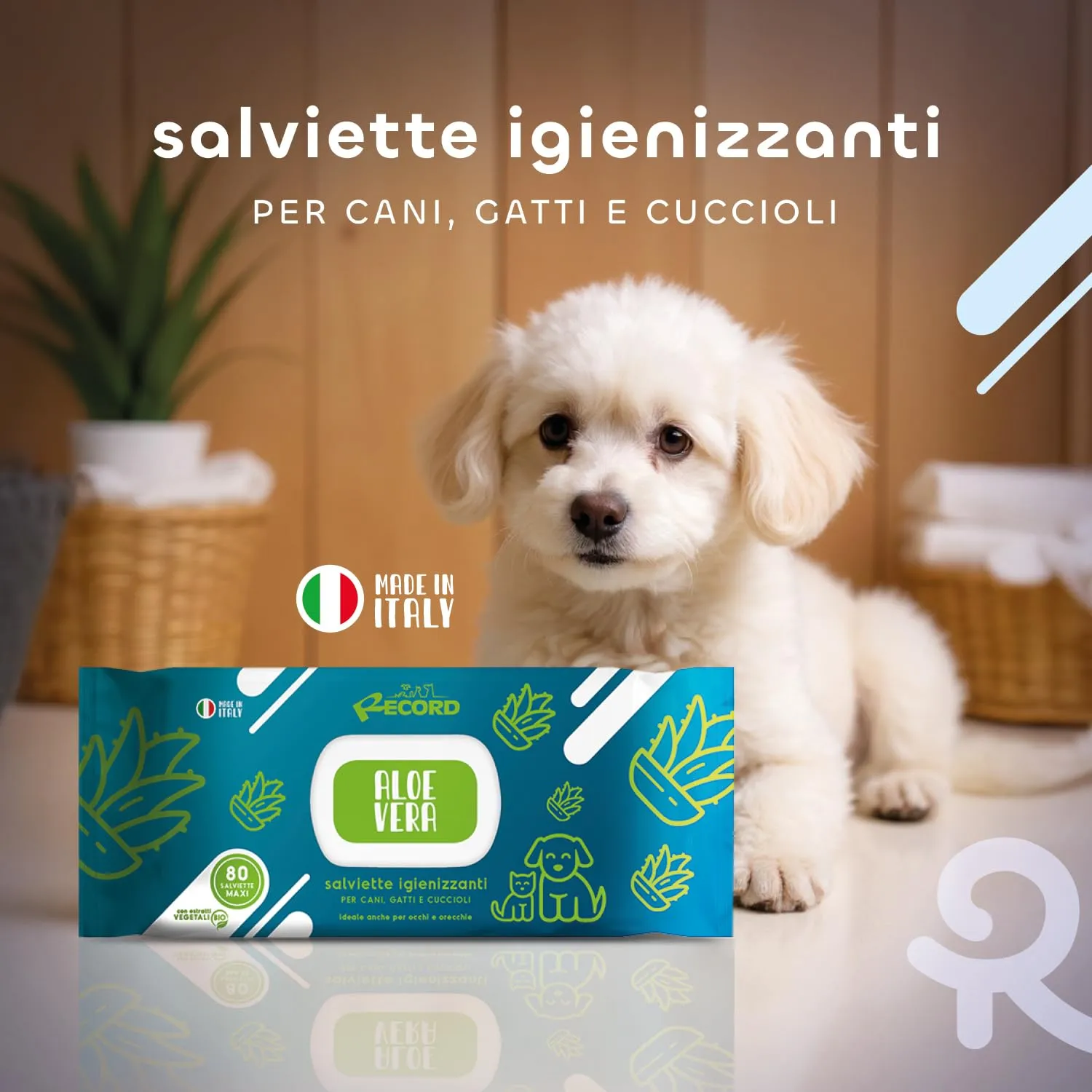 Record Salviette Igienizzanti per Cani e Gatti, Aloe Vera, 80 pezzi - immagine 3