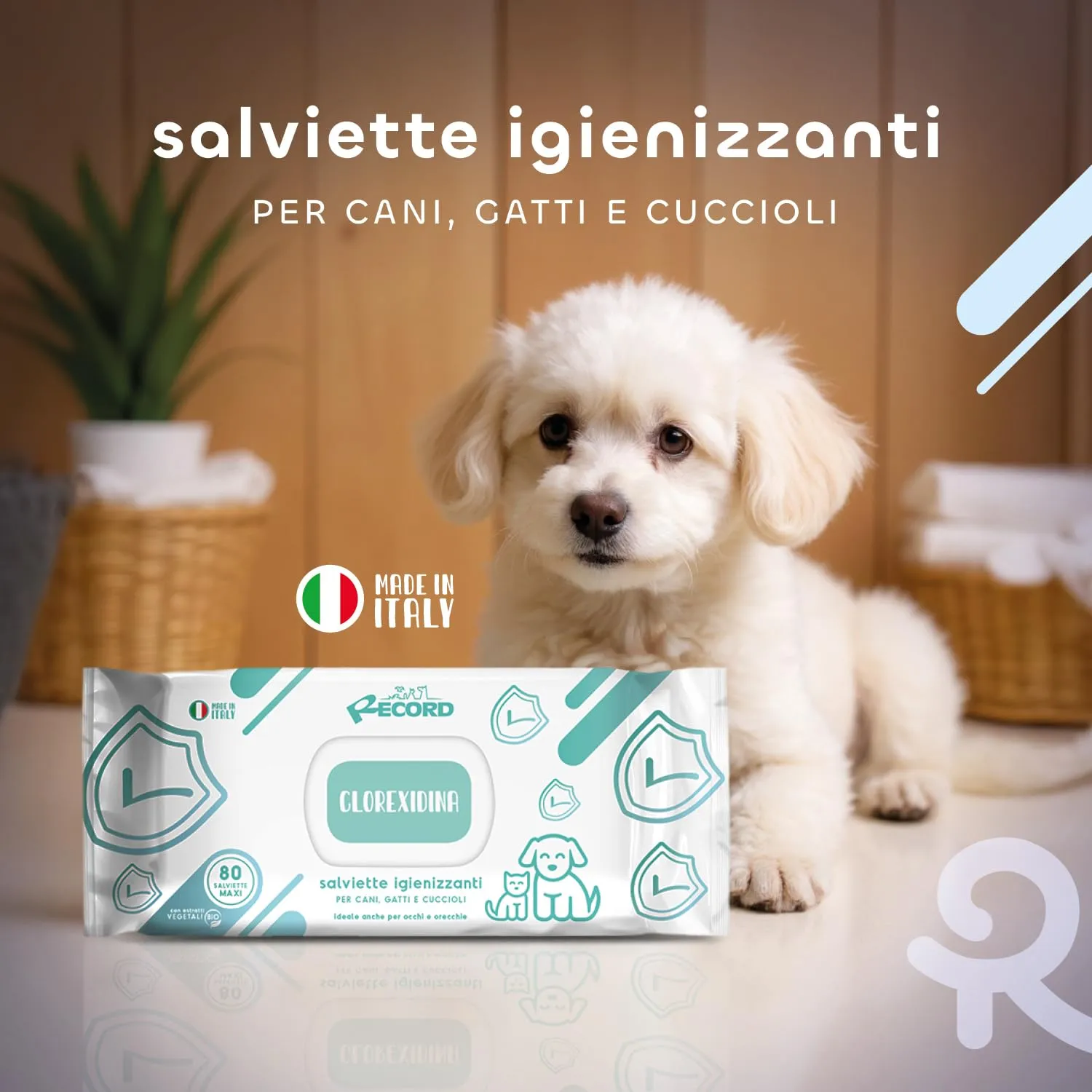Record Salviette Igienizzanti per Cani e Gatti Aroma Clorexidina, 80 pezzi - immagine 3