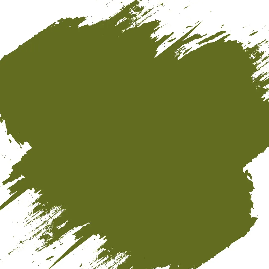 PECTRO Chalk Paint per Mobili, Verde Oliva, 750 ml con Pennello - immagine 2