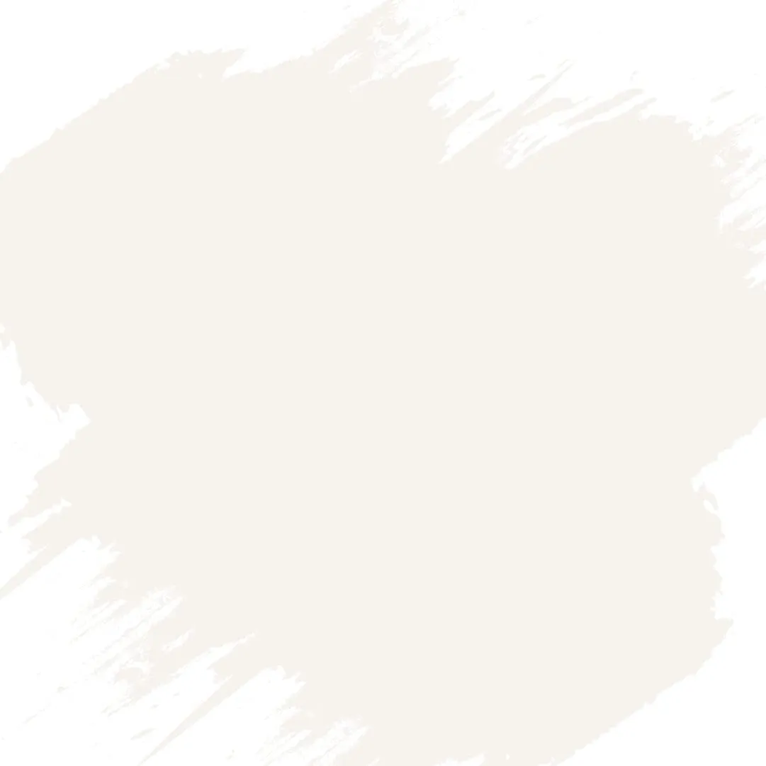 PECTRO Chalk Paint 750ml con Pennello, Vernice per Mobili, Bianco Antico - immagine 2