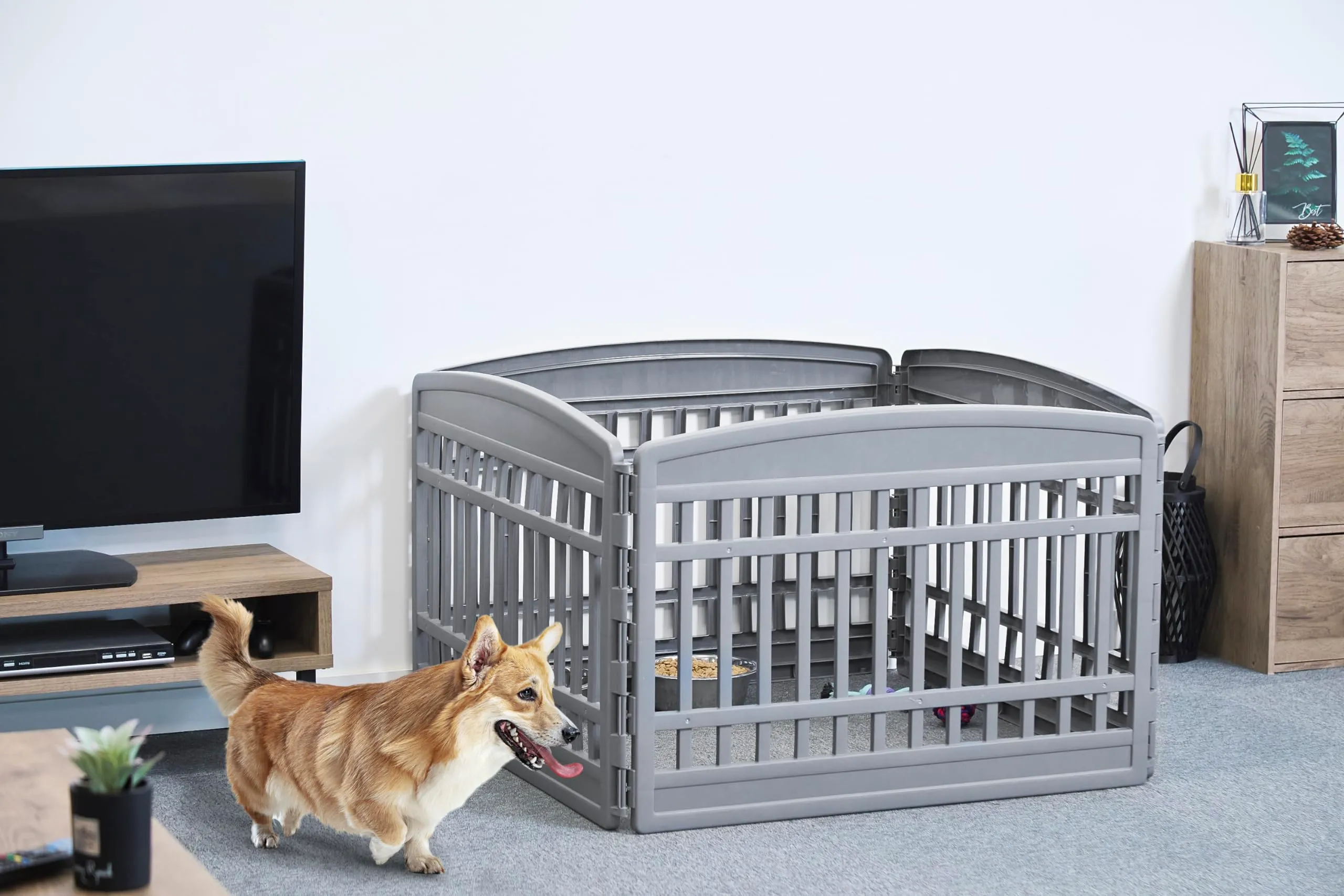 Iris Ohyama Recinto per Cani e Gatti CI-604E, 4 Pannelli senza Porta, 60cm, Grigio - immagine 2
