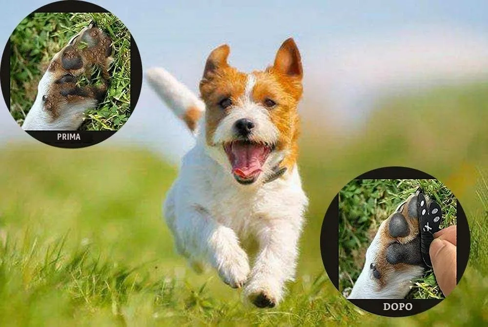 VALFRID Protezioni Zampe Antiscivolo in Gomma Autoadesiva per Cani, 48 Pezzi, S - immagine 7