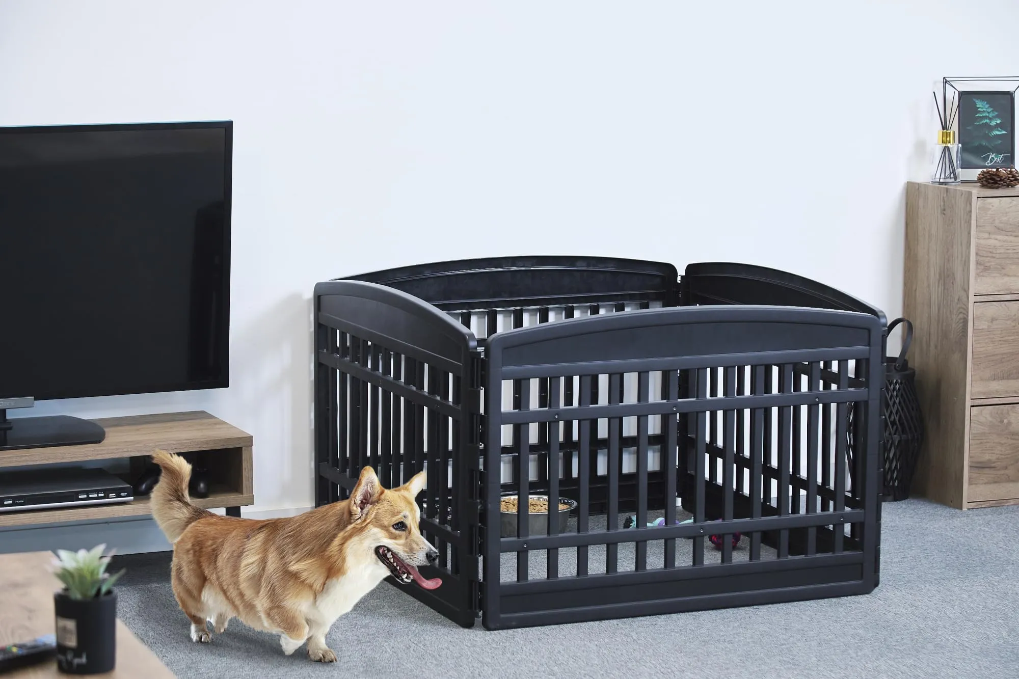 Iris Ohyama Recinto per Cani e Gatti CI-604E, 60cm, 4 Pannelli Senza Porta, Nero - immagine 3