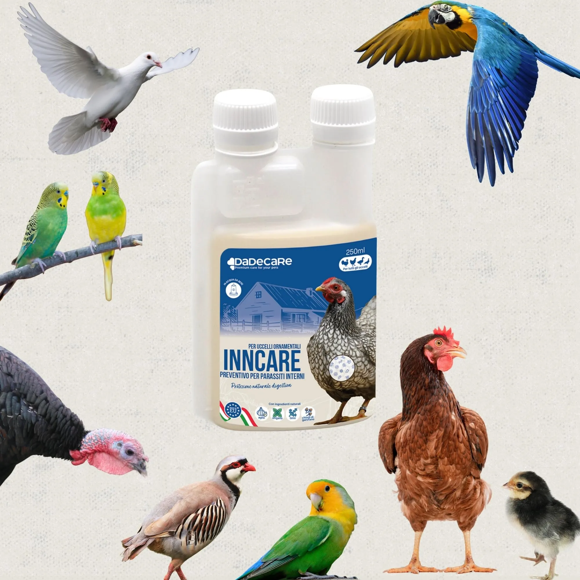 DADECARE Preventivo Parassiti Interni Naturale per Polli, Pollame ed Esotici, Estratto di Aglio e Oregano, Inncare, 250 ml - immagine 6