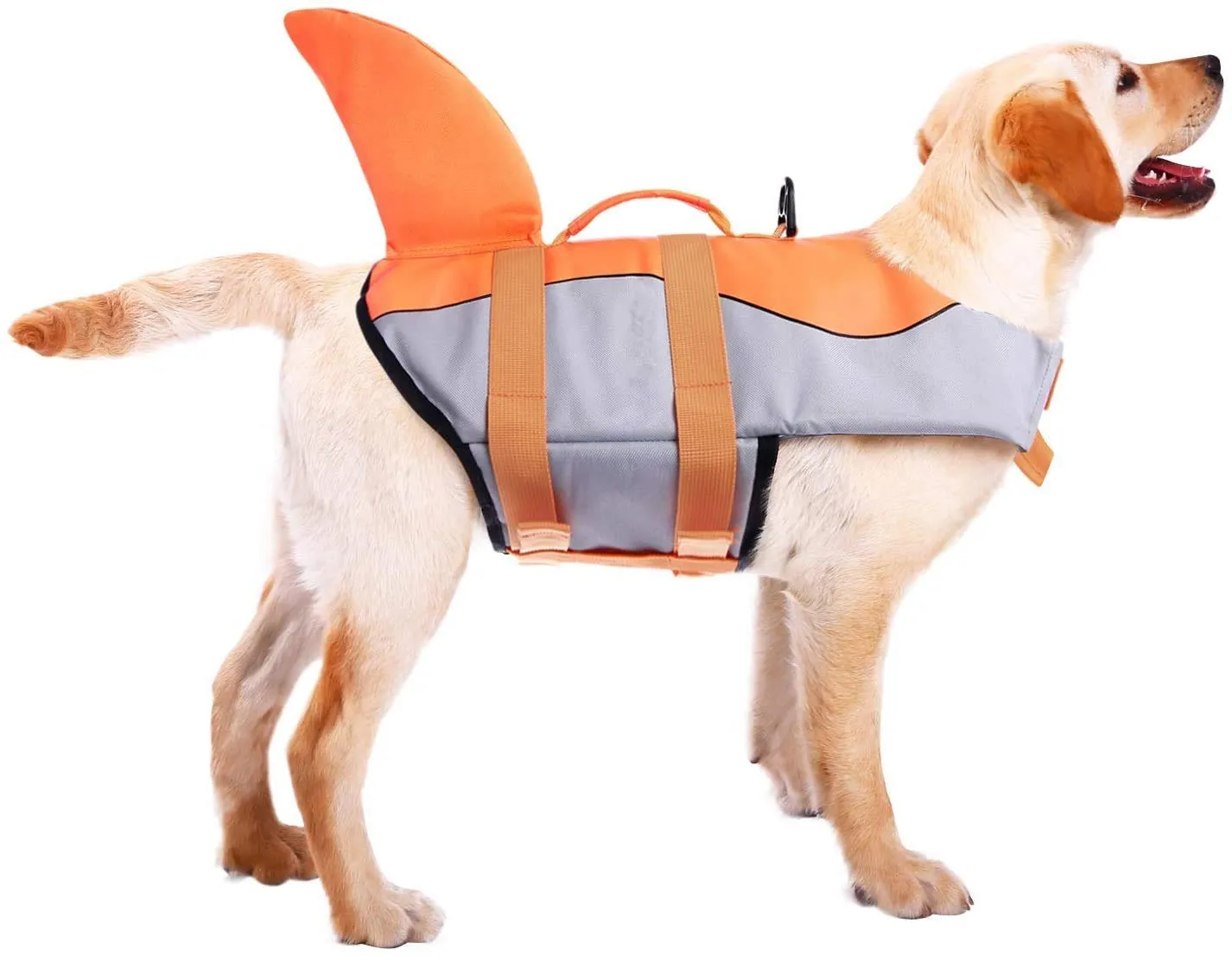 CITÉTOILE Giubbotto Salvagente per Cani, Ripstop Regolabile Design Squalo, Arancione, XS - immagine 8