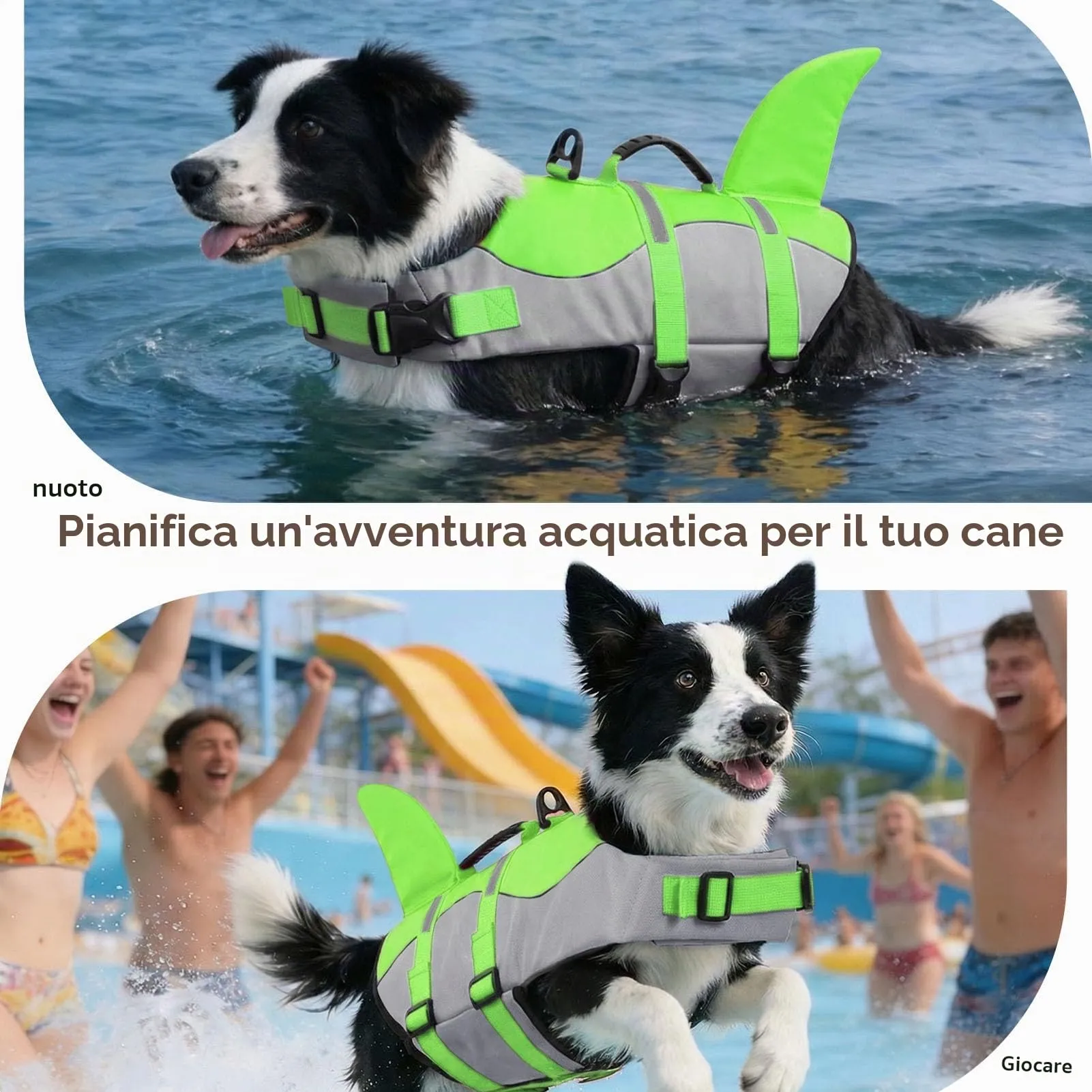 CITÉTOILE Salvagente per Cane Ripstop con Pinna di Squalo, Verde, L - immagine 6