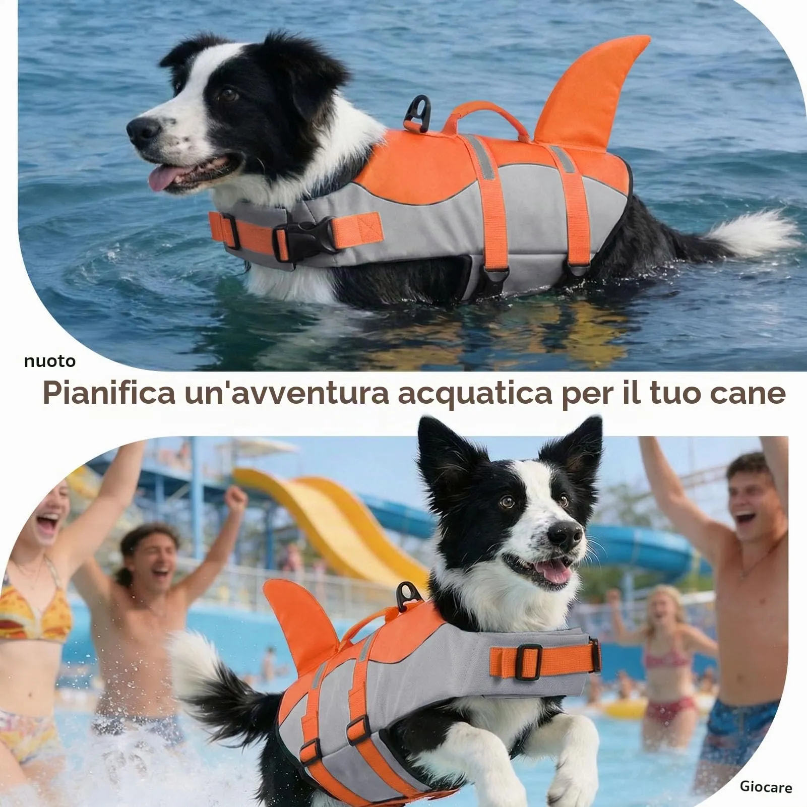 CITÉTOILE Salvagente per Cane Ripstop Regolabile Modello Squalo, Arancione, L - immagine 6