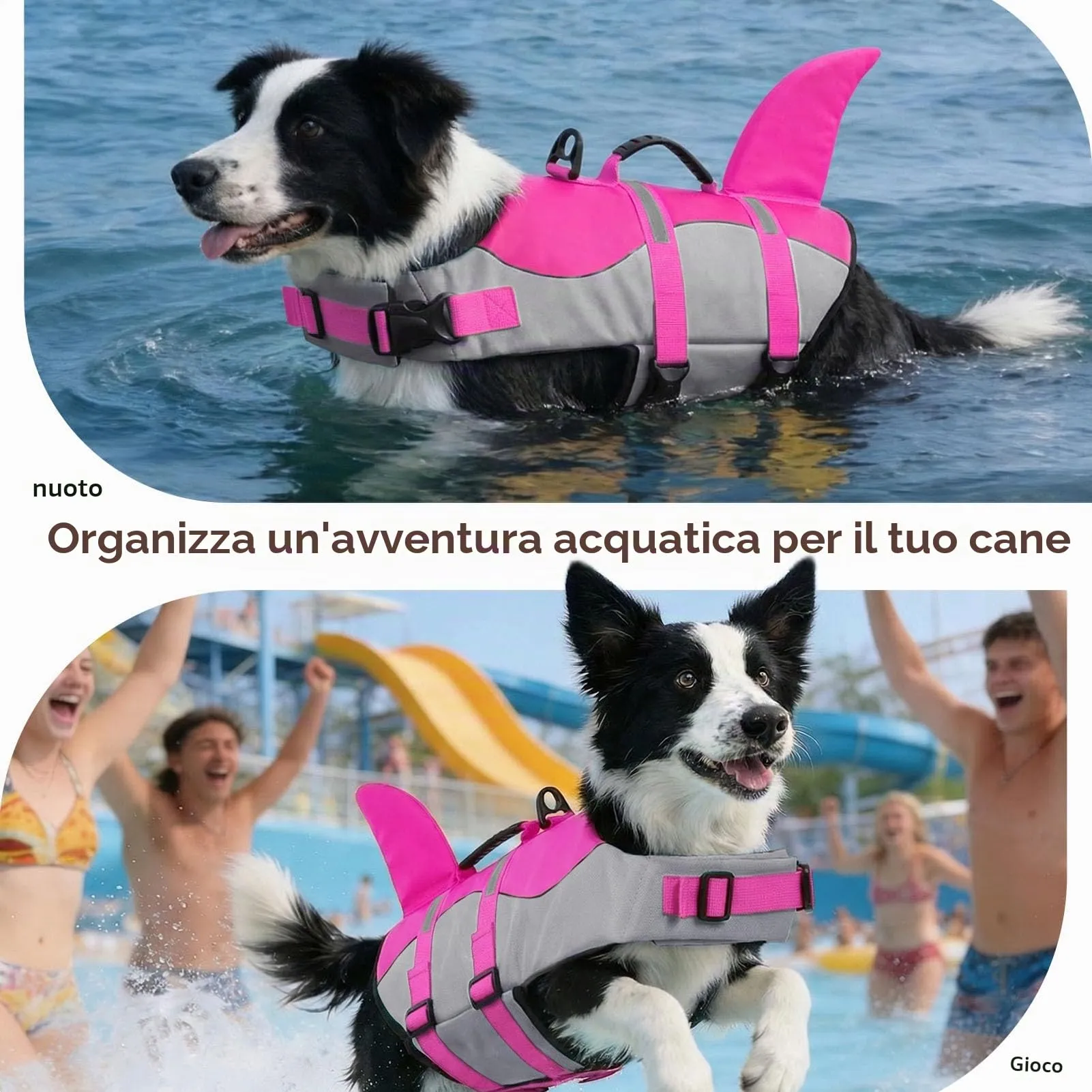 CITÉTOILE Giubbotto Salvagente per Cani in Ripstop con Pinna di Squalo, Rosa, M - immagine 6
