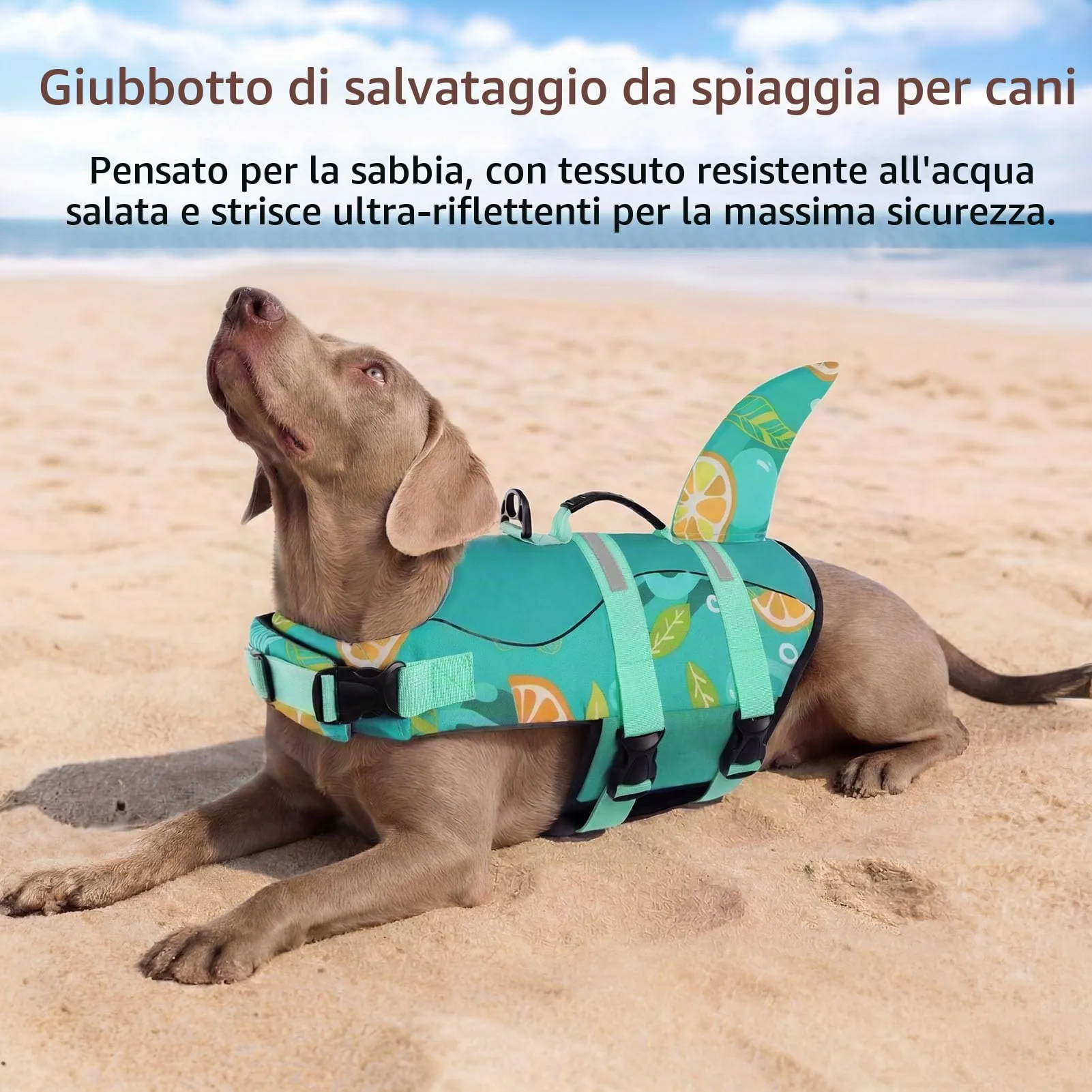 CITÉTOILE Salvagente per Cane in Ripstop Regolabile, Verde limone, XL - immagine 5