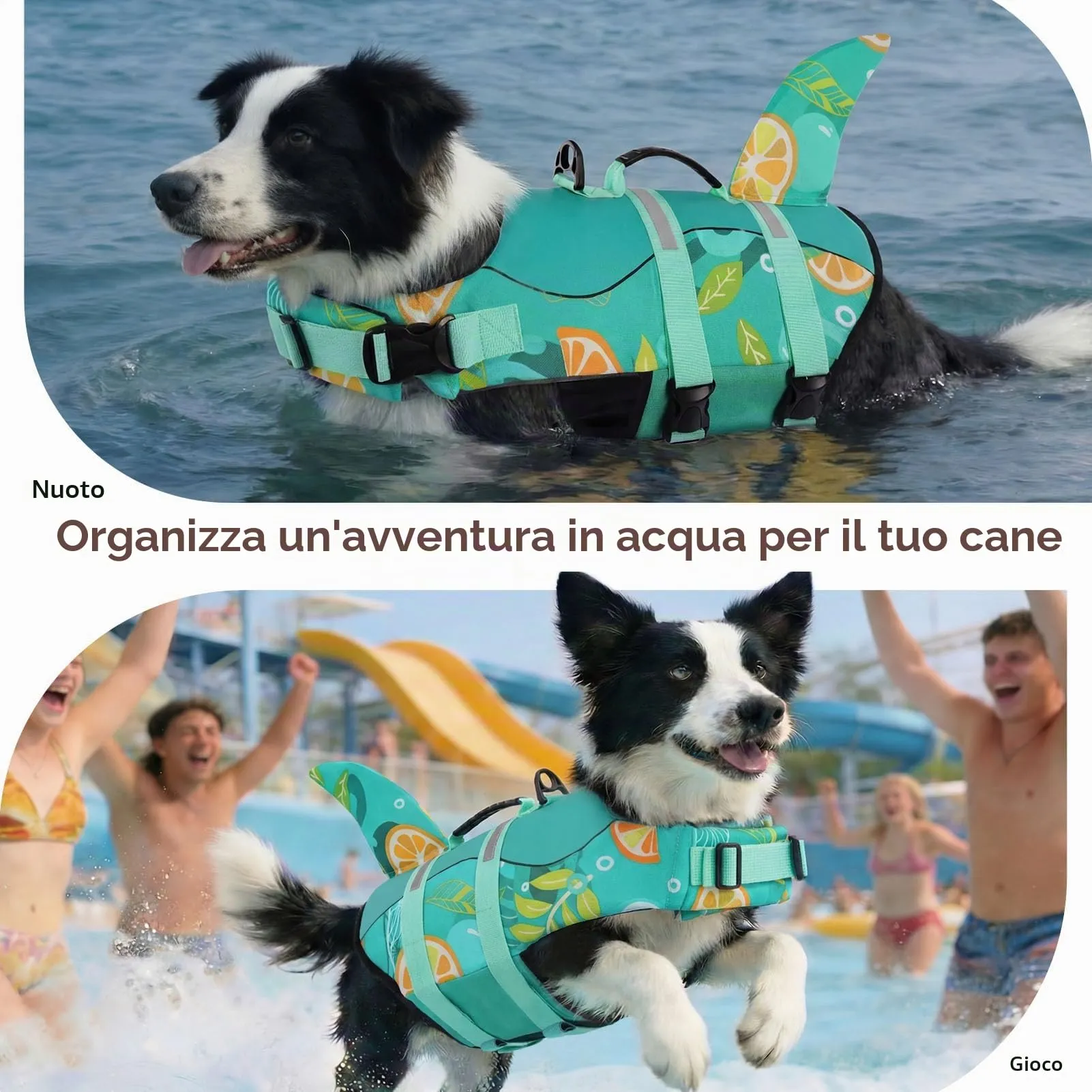 CITÉTOILE Salvagente per Cane in Ripstop Regolabile, Verde limone, XL - immagine 6