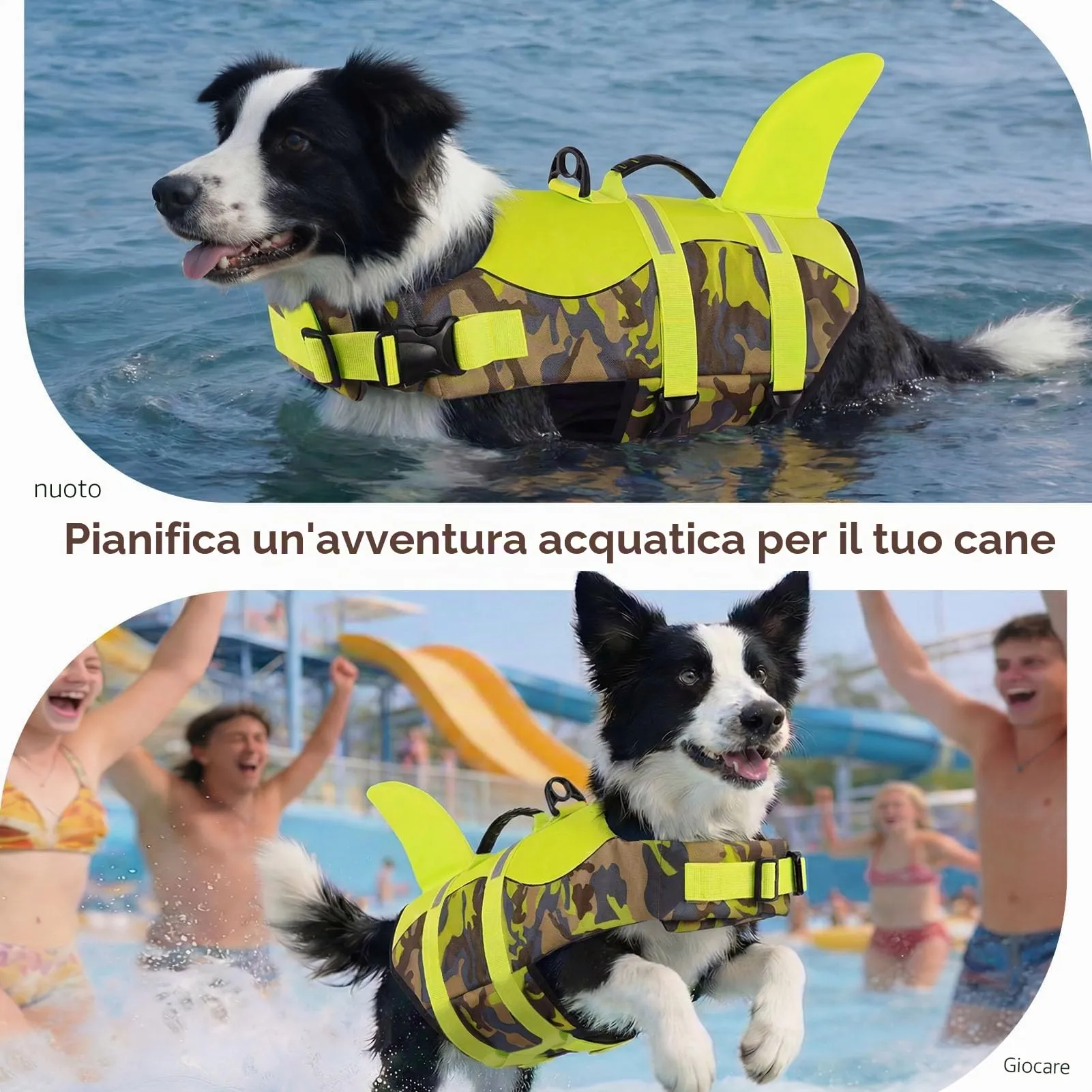 CITÉTOILE Salvagente per Cane in Ripstop, Verde Mimetico, M - immagine 6