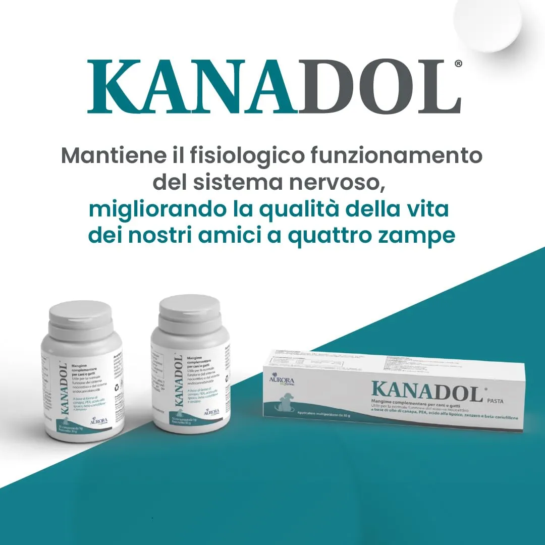 Aurora Biofarma Kanadol Pasta 30g per Cani e Gatti - immagine 3