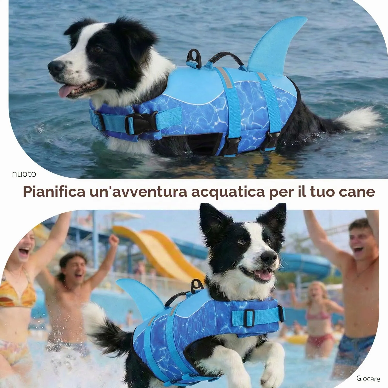 CITÉTOILE Salvagente per Cane Ripstop Regolabile Design Squalo, Onda blu, L - immagine 6