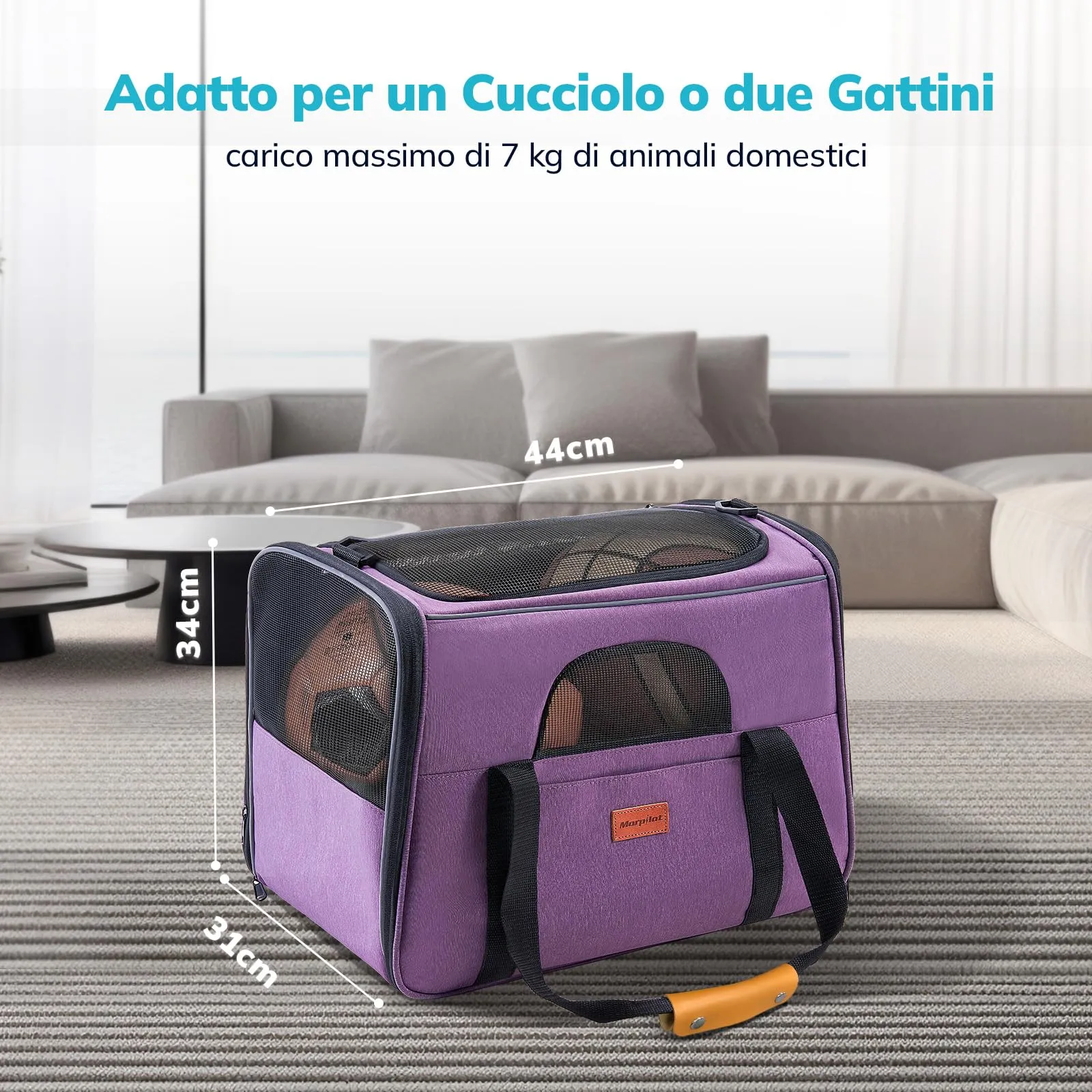 Morpilot Trasportino per gatti e cani fino a 7 kg, pieghevole, 44x31x34cm, Viola chiaro - immagine 2