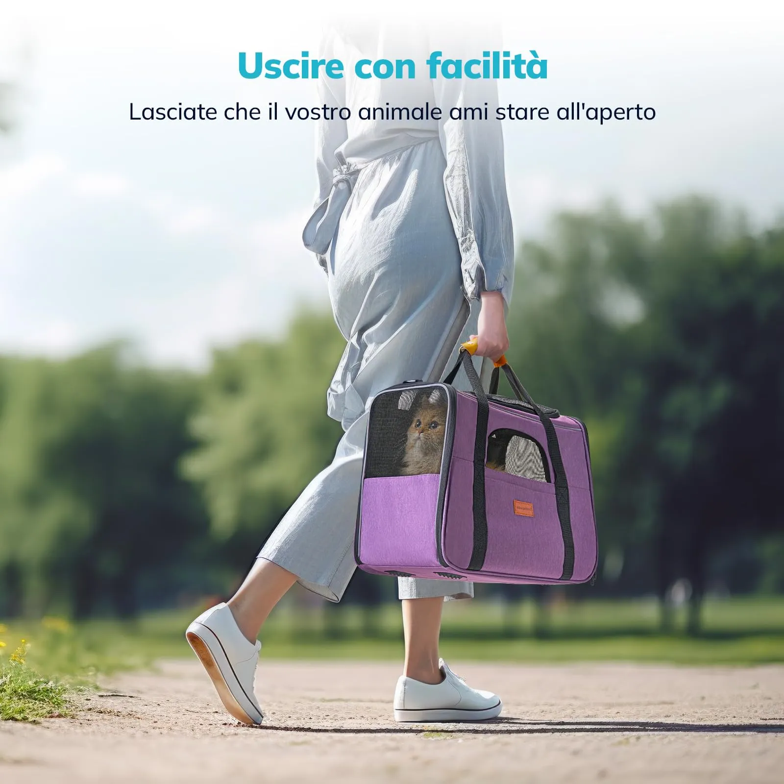 Morpilot Trasportino per gatti e cani fino a 7 kg, pieghevole, 44x31x34cm, Viola chiaro - immagine 6