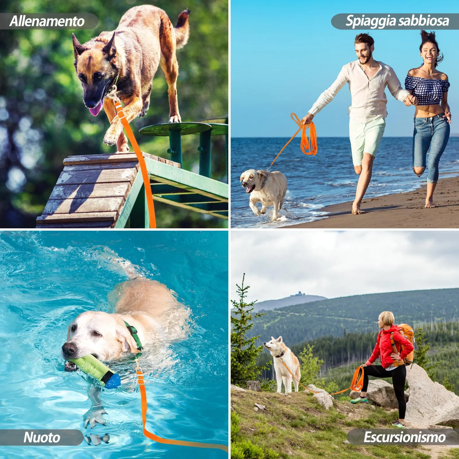 SuplutuX Guinzaglio Addestramento per Cani Regolabile 15m, Arancione - immagine 5
