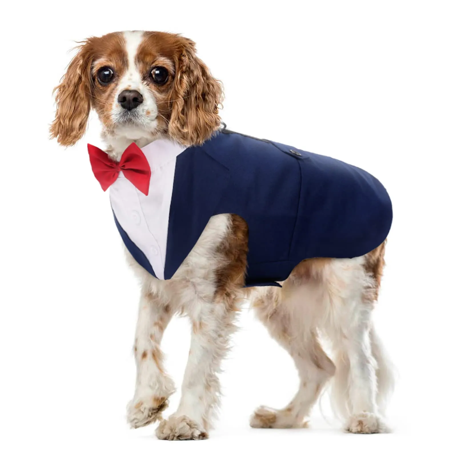 PUMYPOREITY Set di Smoking per Cani con Bandana, Camicia Formale per Matrimoni e Feste, Taglia M, Blu - immagine 1