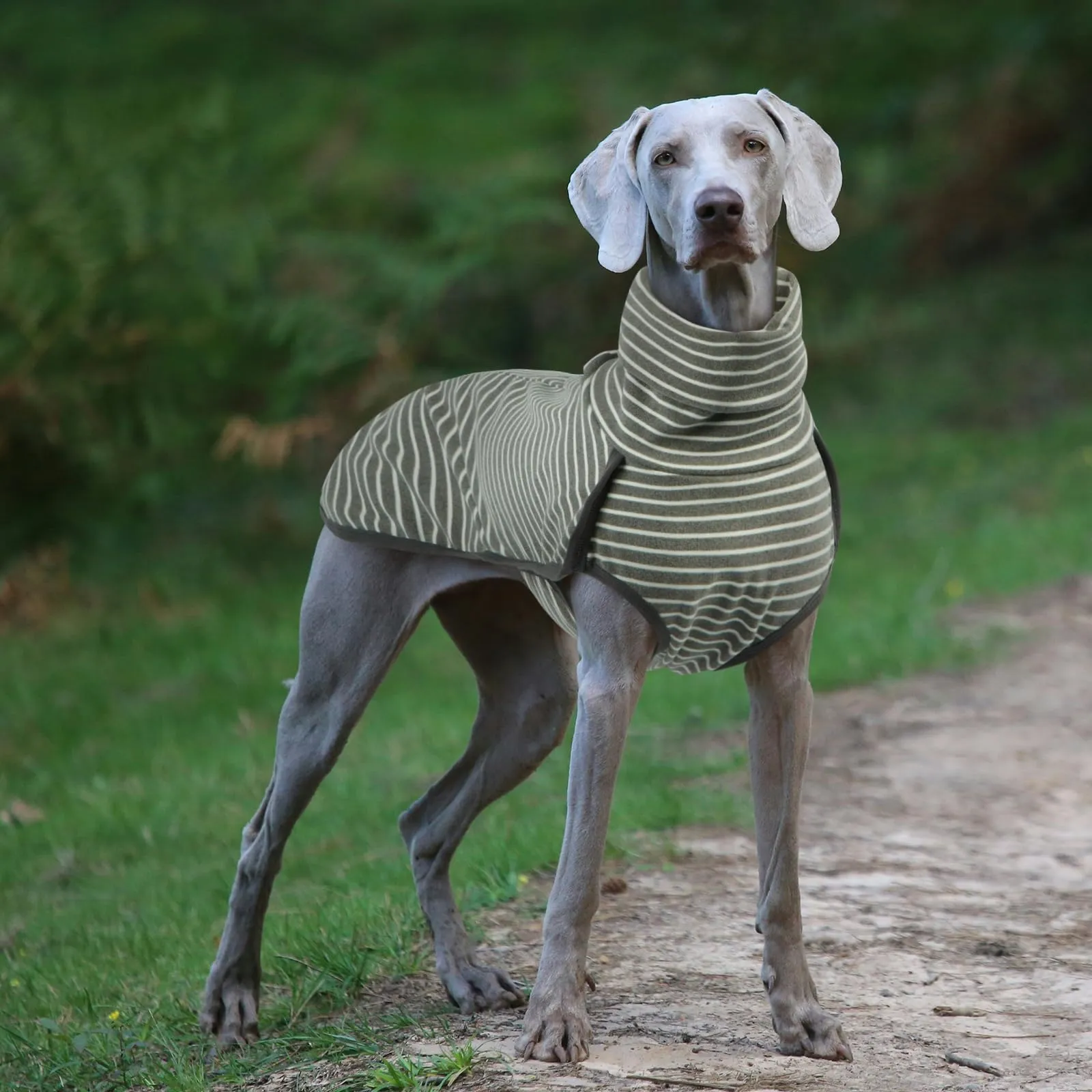 Hjyokuso Cappotto in Pile per Cani a Righe, Morbido e Caldo, XXS-XXXL - immagine 7