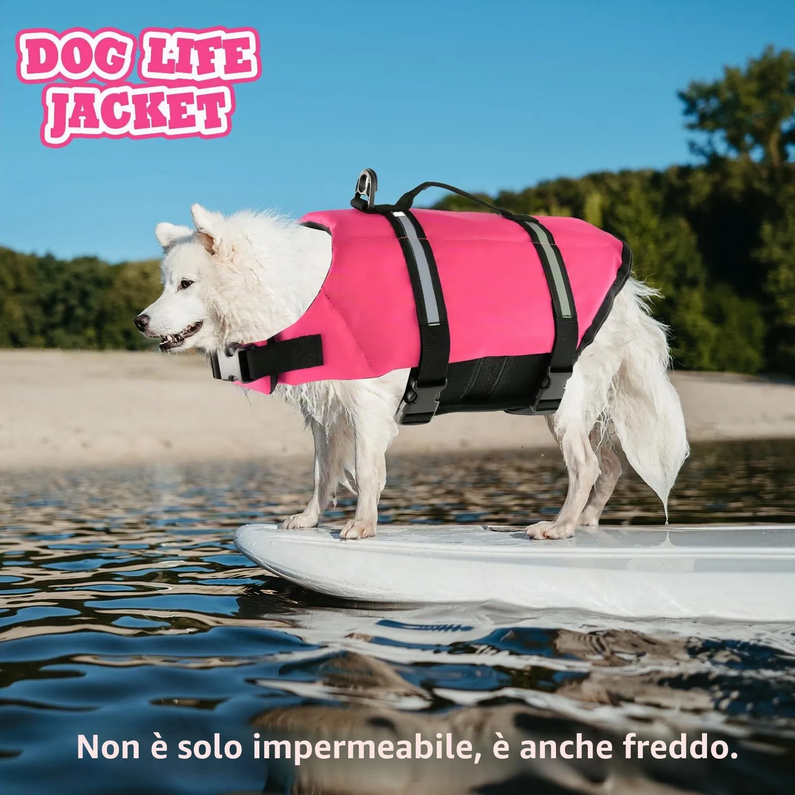 FainFun Giubbotto di Salvataggio per Cani, Rosa, L - immagine 6