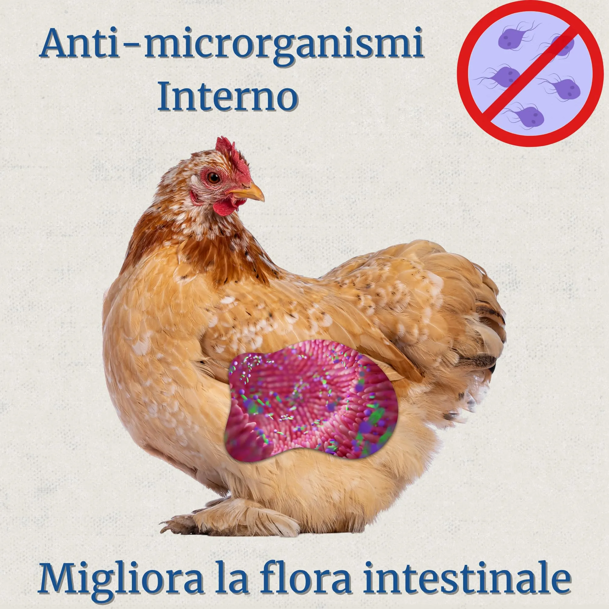 DADECARE Preventivo Parassiti Interni Naturale per Polli, Pollame ed Esotici con Aglio e Oregano, Inncare, 500 ml - immagine 2