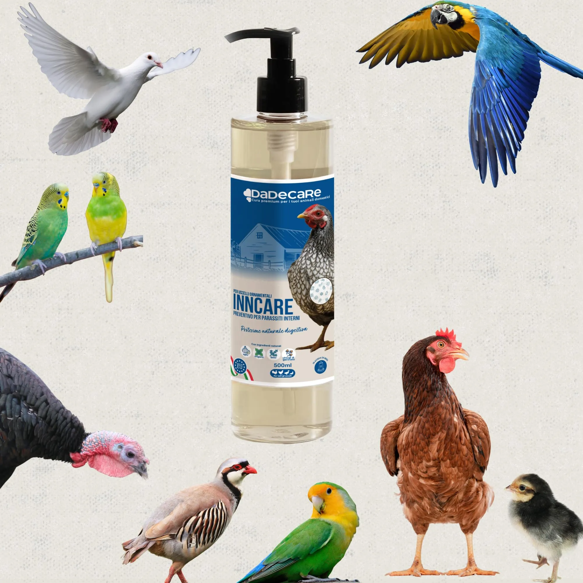 DADECARE Preventivo Parassiti Interni Naturale per Polli, Pollame ed Esotici con Aglio e Oregano, Inncare, 500 ml - immagine 6