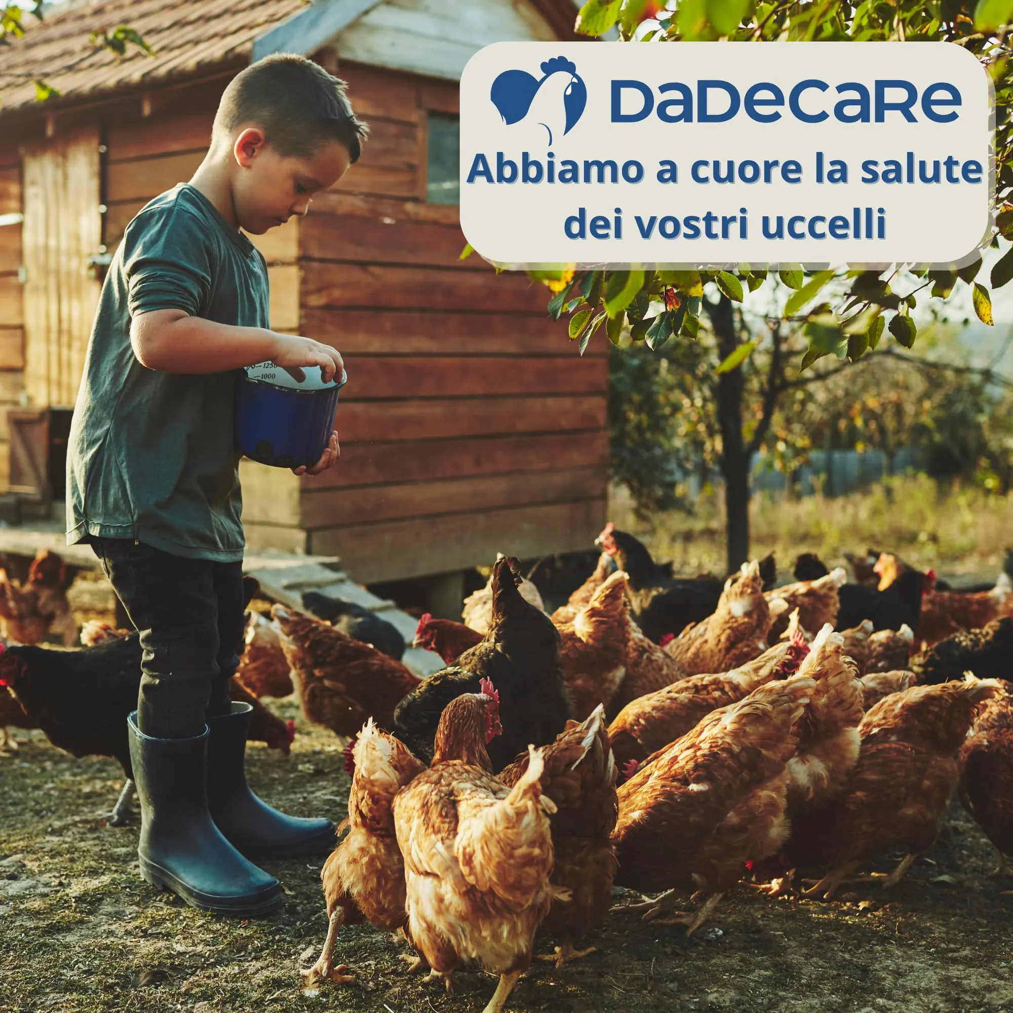 DADECARE Preventivo Parassiti Interni Naturale per Polli, Pollame ed Esotici con Aglio e Oregano, Inncare, 500 ml - immagine 7