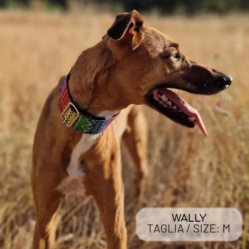 candyPet Collare Martingale per cani, Kenya, L - immagine 2