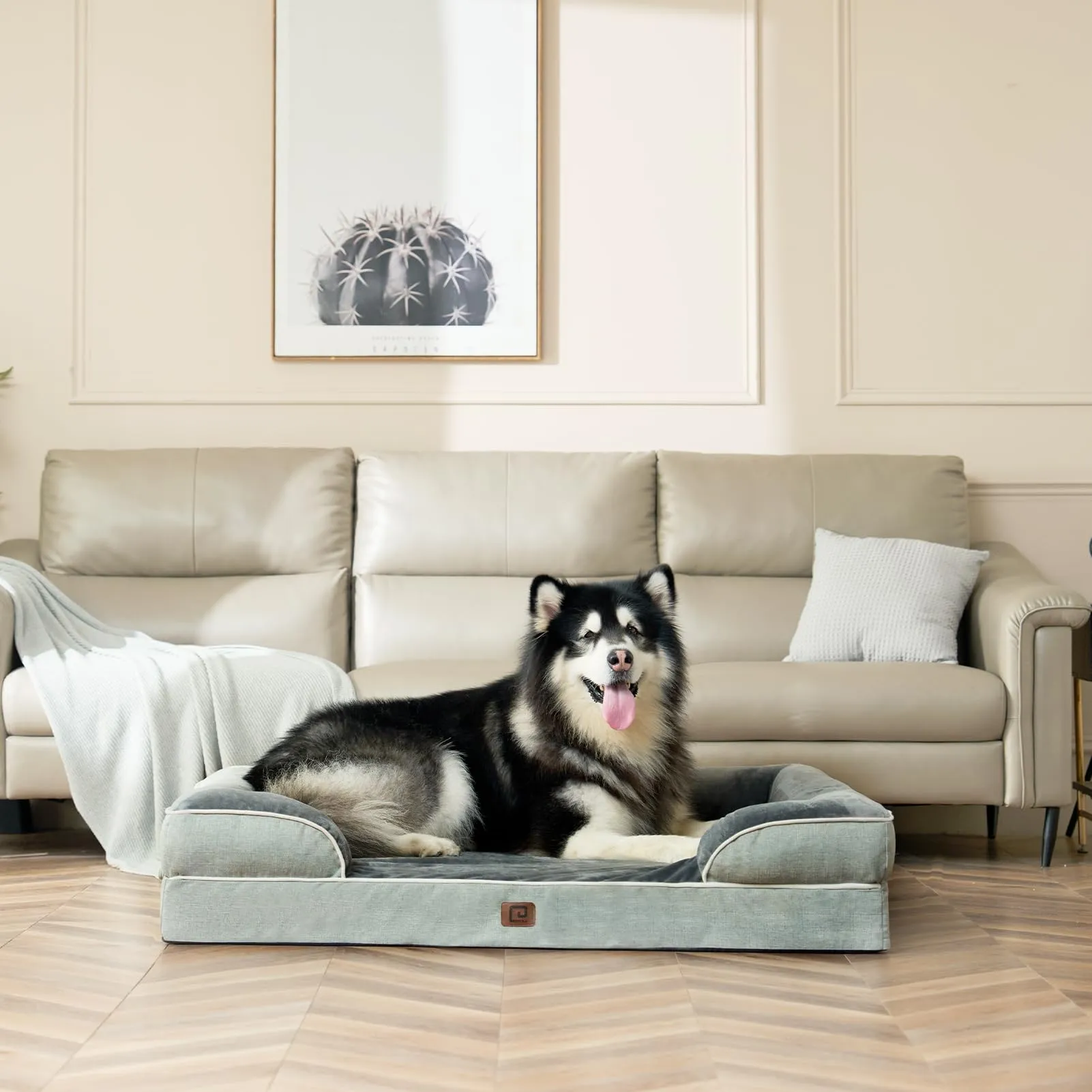 EHEYCIGA Cuccia Cane Interno Taglia Media, 76x51x16cm, Verde - immagine 8