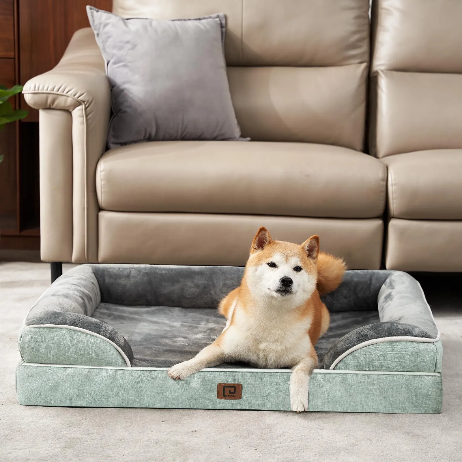EHEYCIGA Cuccia Cane Interno Taglia Media, 76x51x16cm, Verde - immagine 9