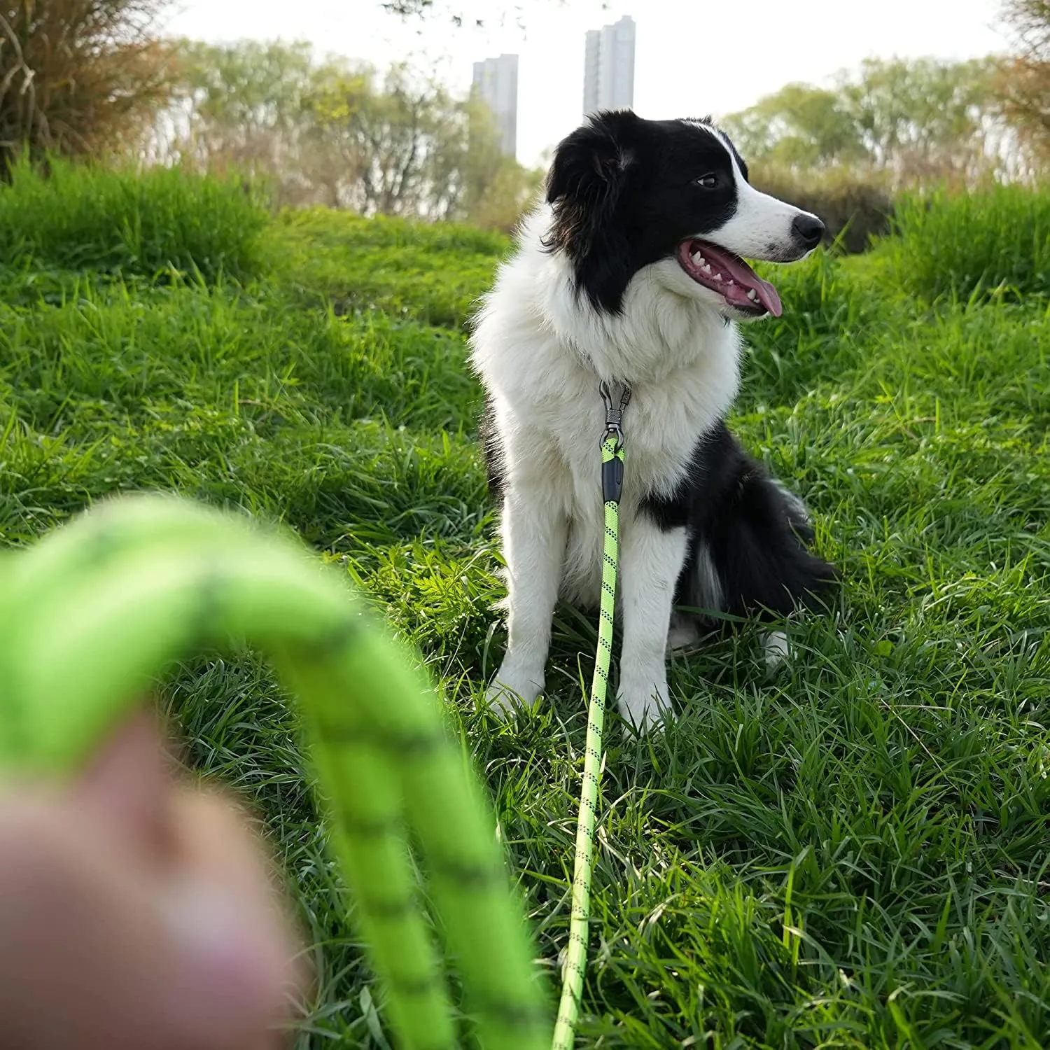 X XBEN Guinzaglio Addestramento per Cani, 5M x 8mm, Nylon, Verde - immagine 8